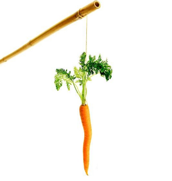 Carrot on a stick.jpg