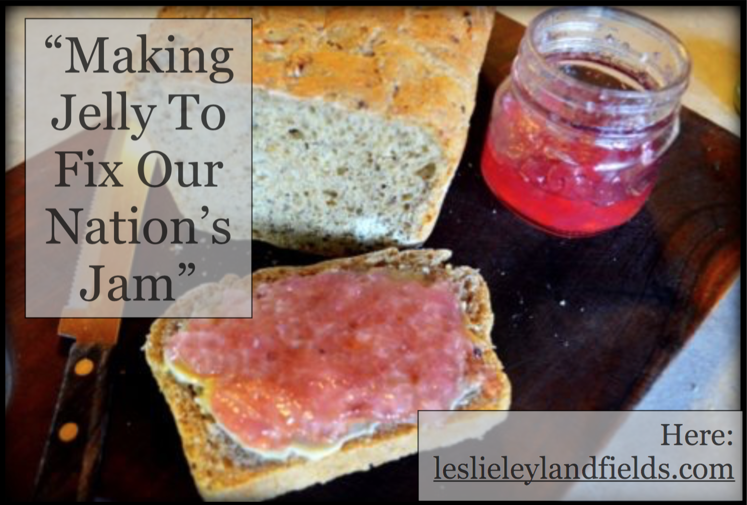 Making Jelly To Fix Our Nation's Jam.png