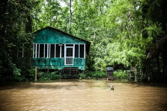 honey-island-swamp-tours.jpg