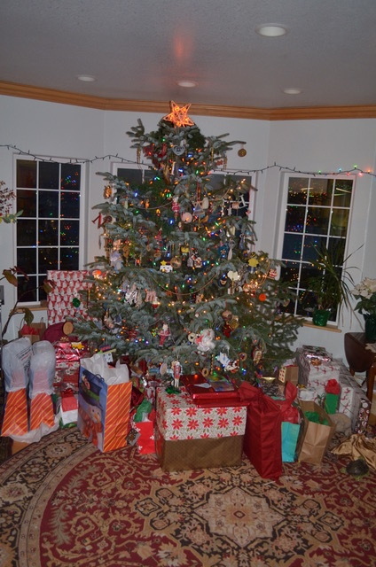 christmas tree.jpeg