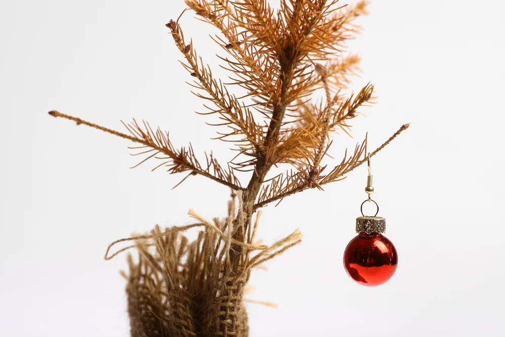 Christmas--dying little tree.jpg