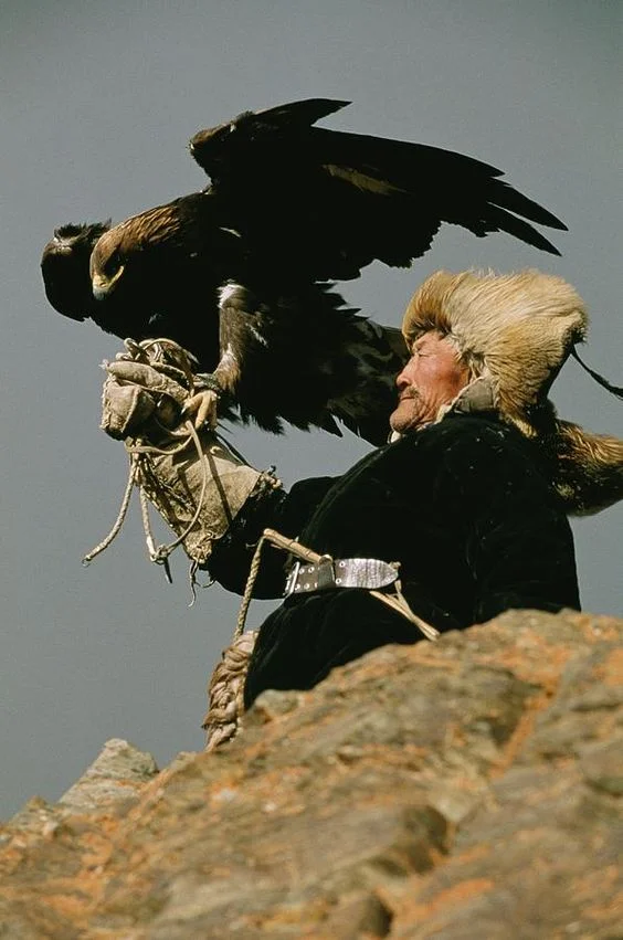 mongolian eagle hunter.jpg