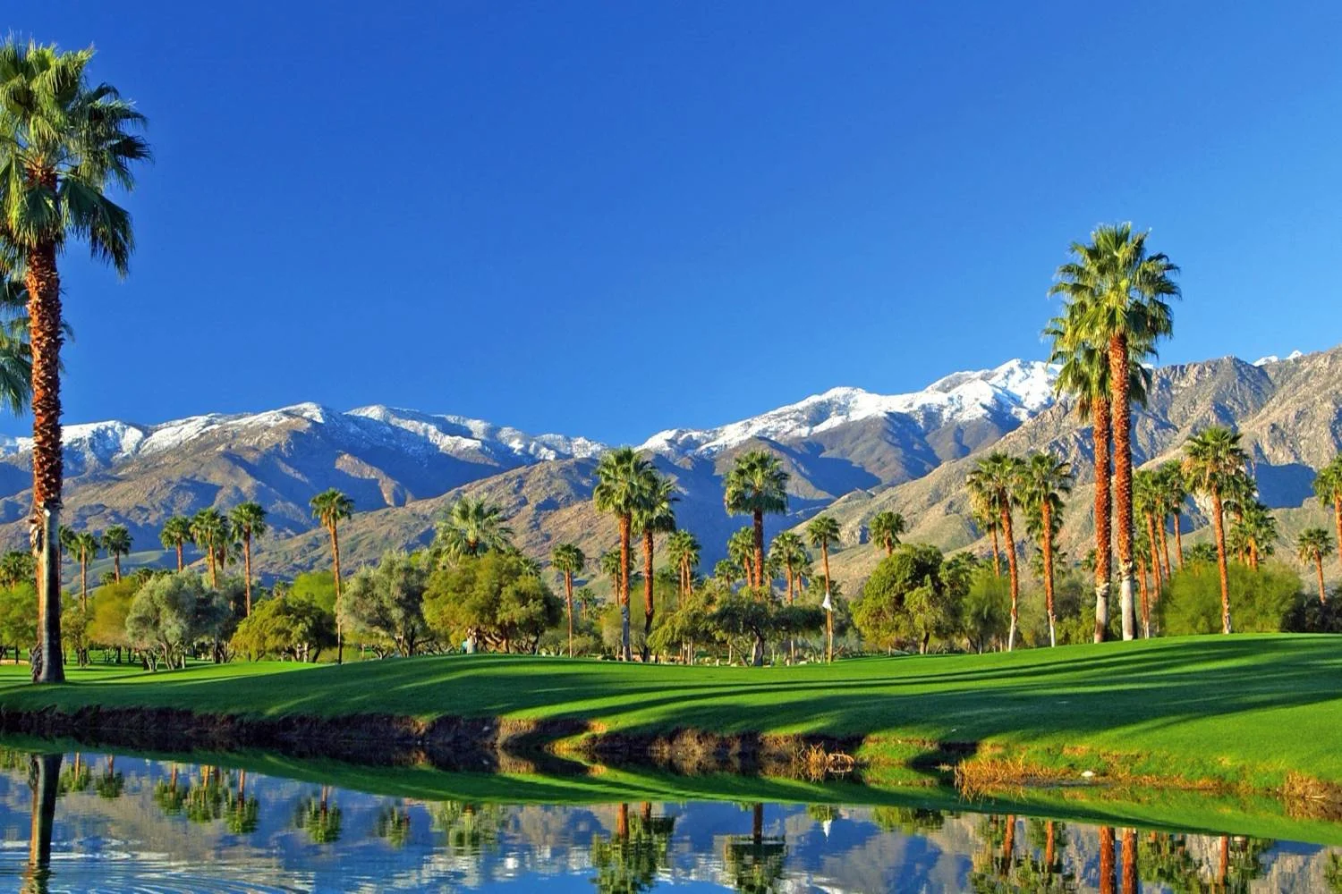 palm springs golf course.jpg