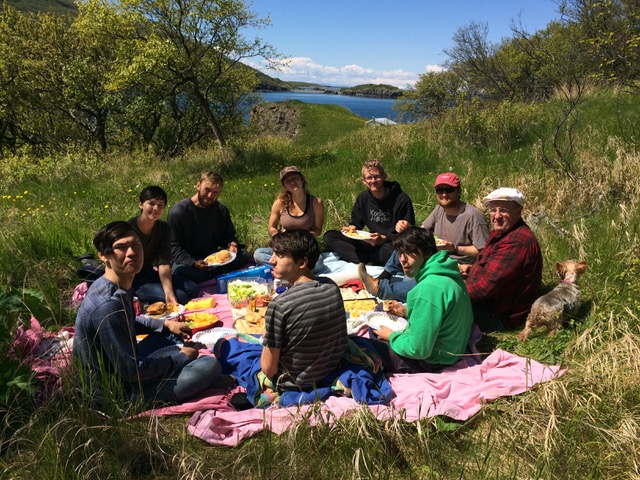Harvester--picnic in grass.jpeg