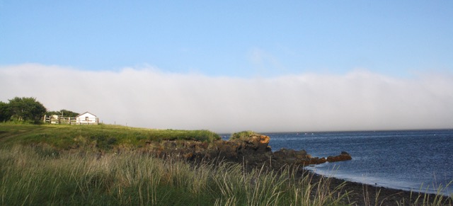 Blog--All Light--Sheep shed fog.jpeg