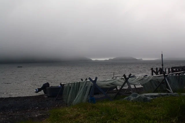 blog--All light--nets and fog.jpeg