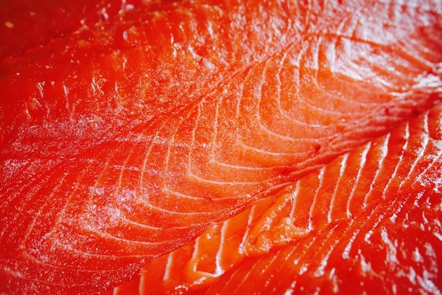king salmon meat---pattern.jpeg