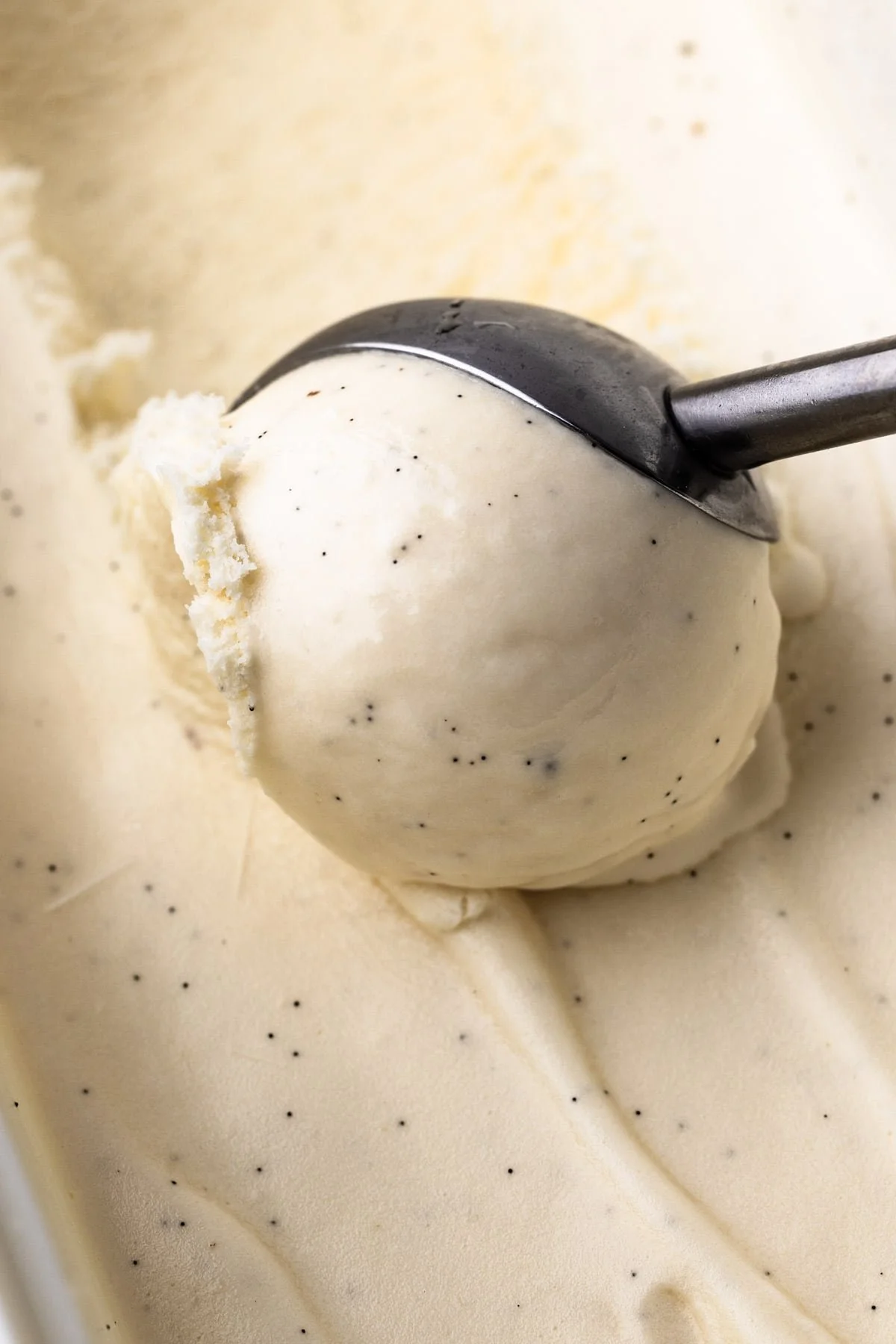 Vanilla Bean Ice Cream 