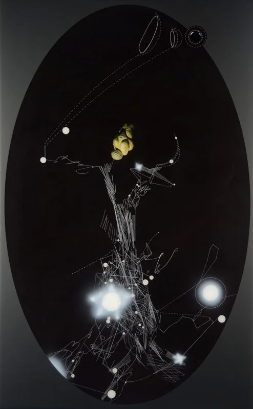 Transit (after Biophilia)