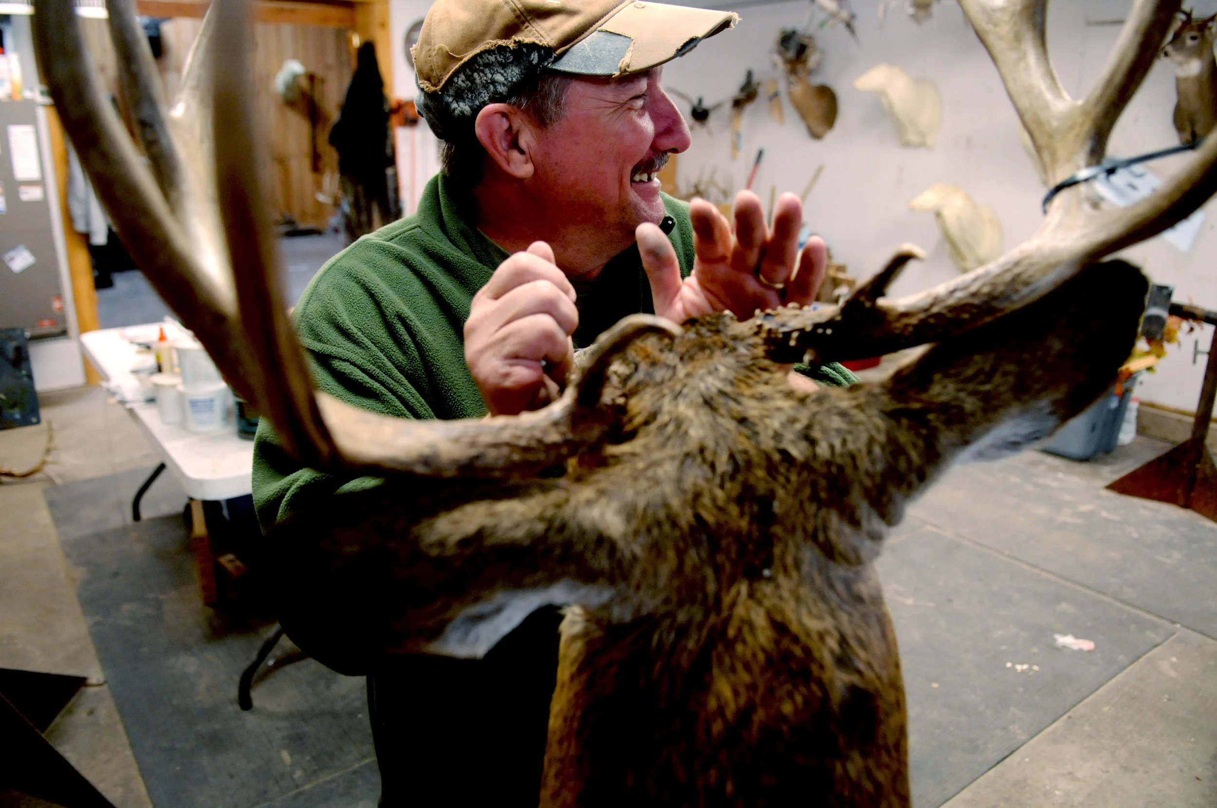 Jim McIntosh works on a deer mount in his Morgantown, Kentucky shop. Total time spent on mounting a deer averages around thirteen working hours. Since there is such a demand for his skill, a completed mount takes around six months to finish. 