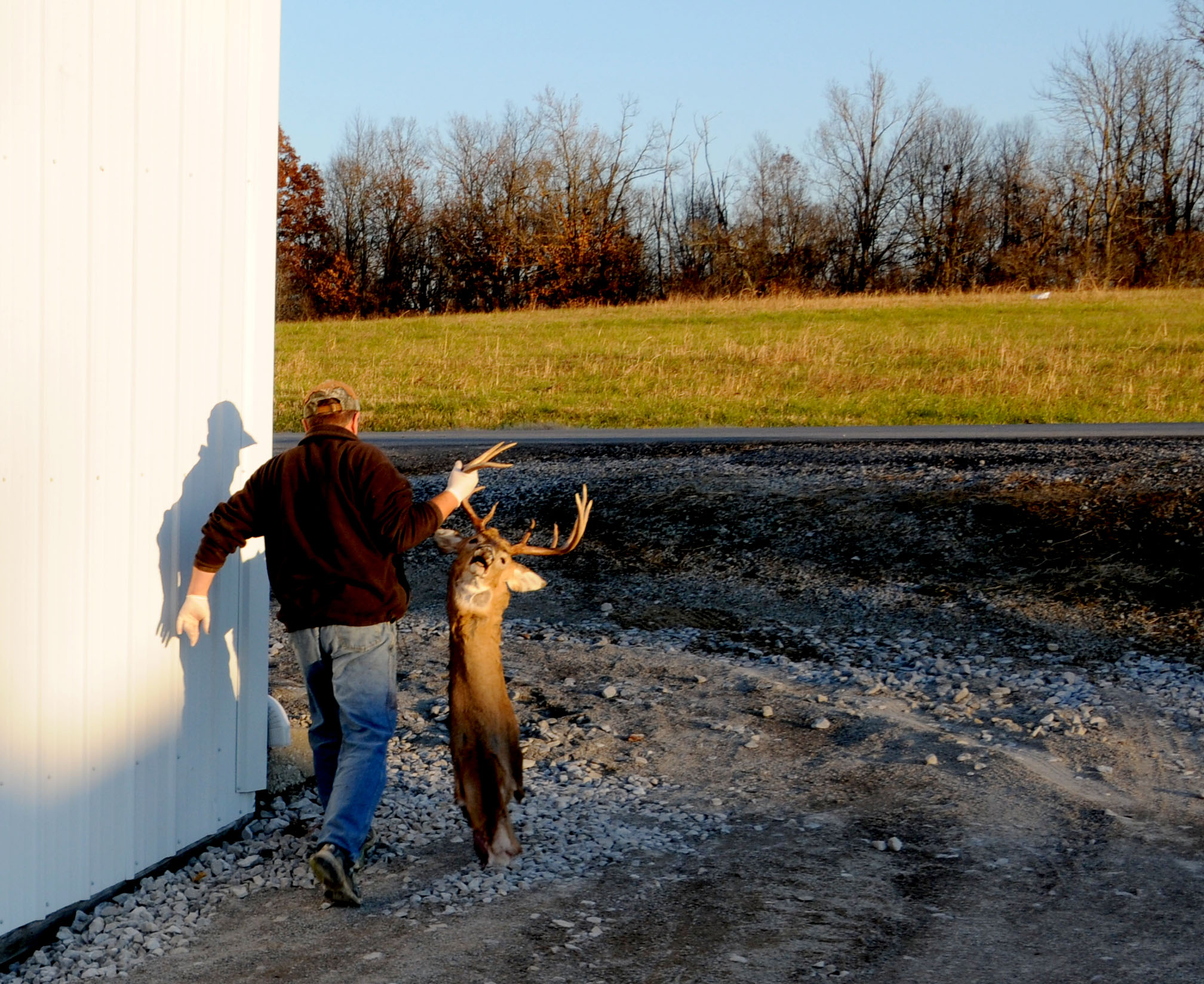 Jim McIntosh takes a prepared deer into his shop, 'Jims New Life Taxidermy' in Morgantown, Kentucky, on Friday, November sixteenth, to be further prepared for creating a wall mount. For an extra fee, McIntosh will help skin a deer outside his shop. McIntosh has, on average, a years worth of back-ordered taxidermy jobs in his shop. 