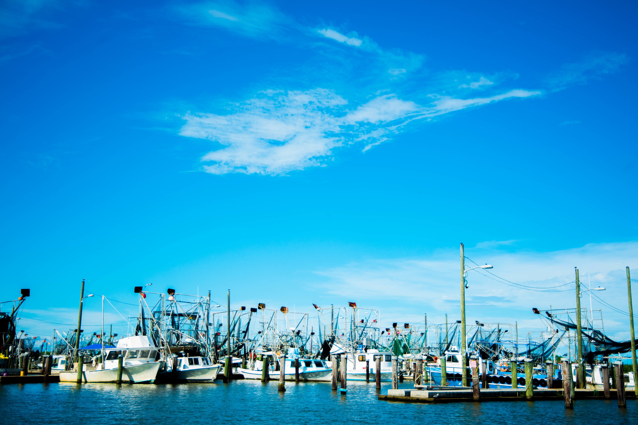 Venice, Louisiana, was the southernmost town along the Mississippi river, and our final river town of the journey. This relaxed fishing town played every bit the part of the southern 'not hurrying for anyone' attitude we had expected.