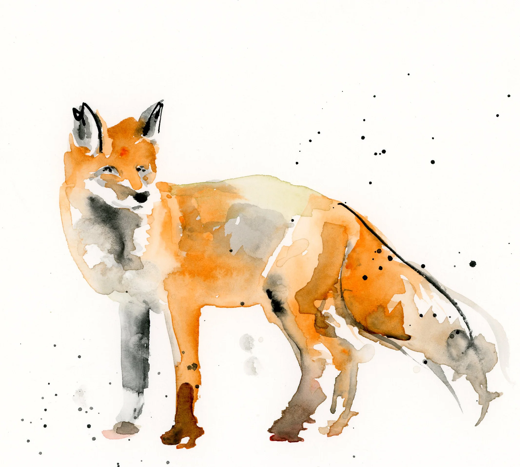 F_Fox copy.jpg