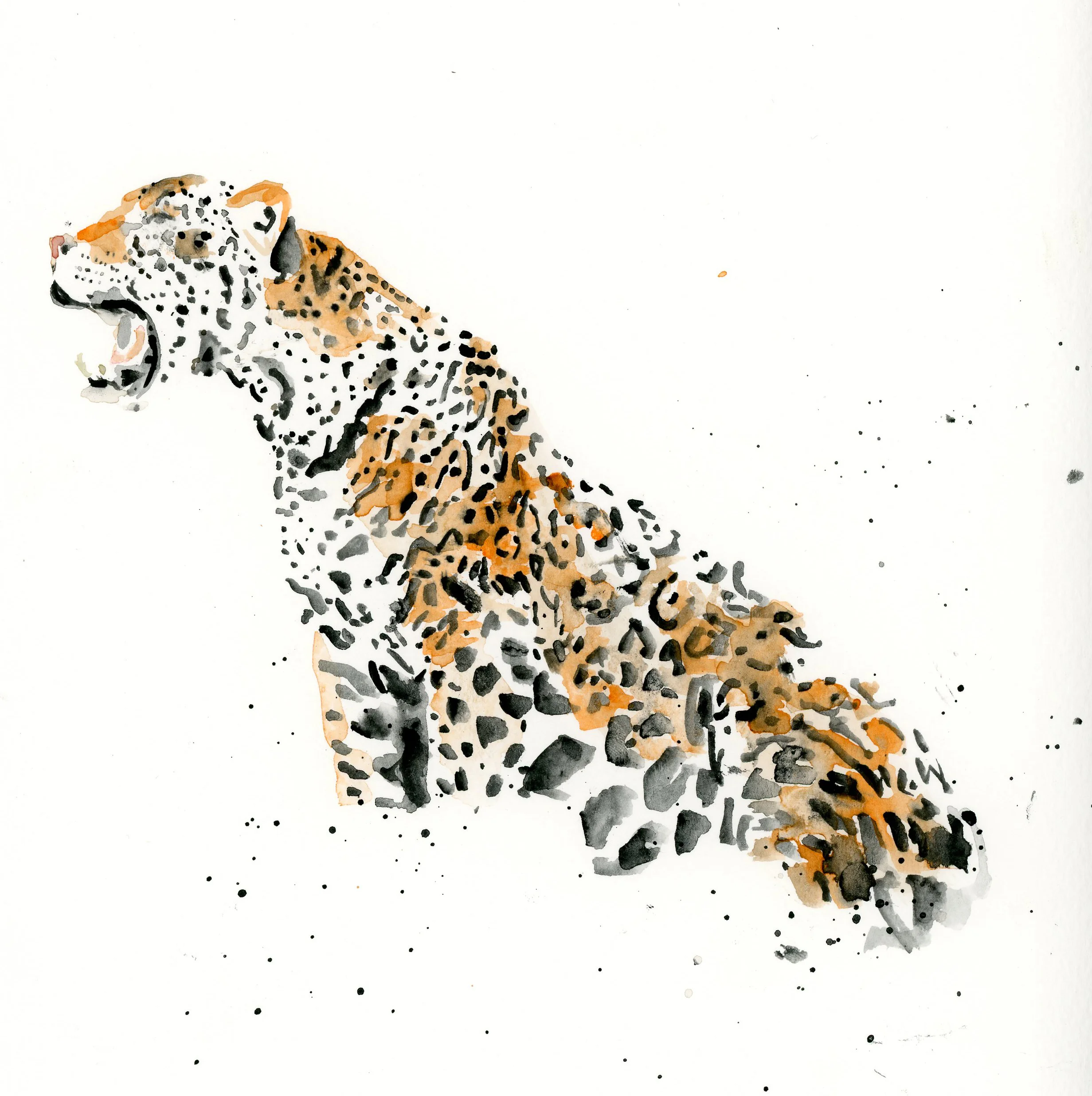 J_Jaguar.jpg