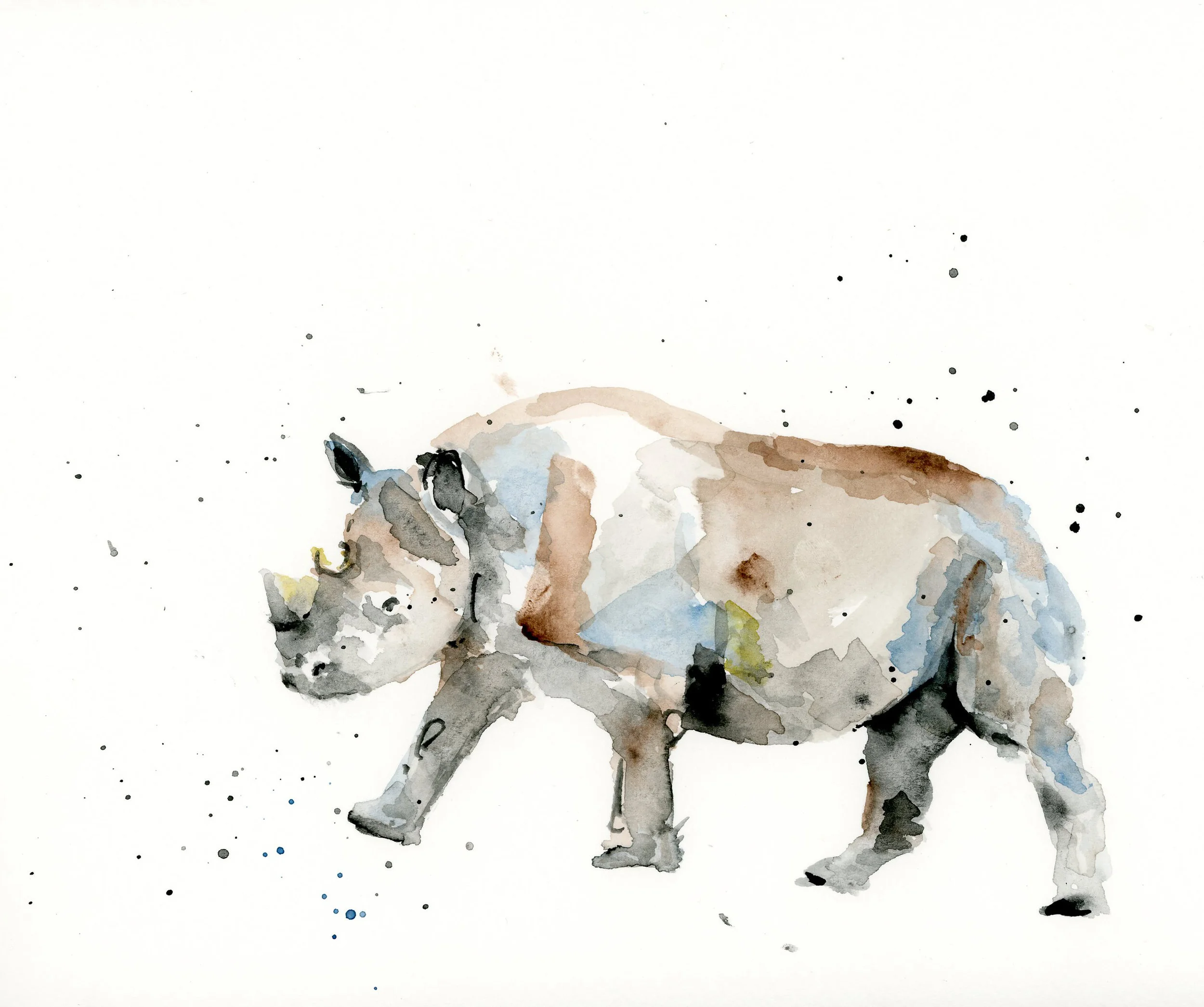 R_Rhinoceros.jpg
