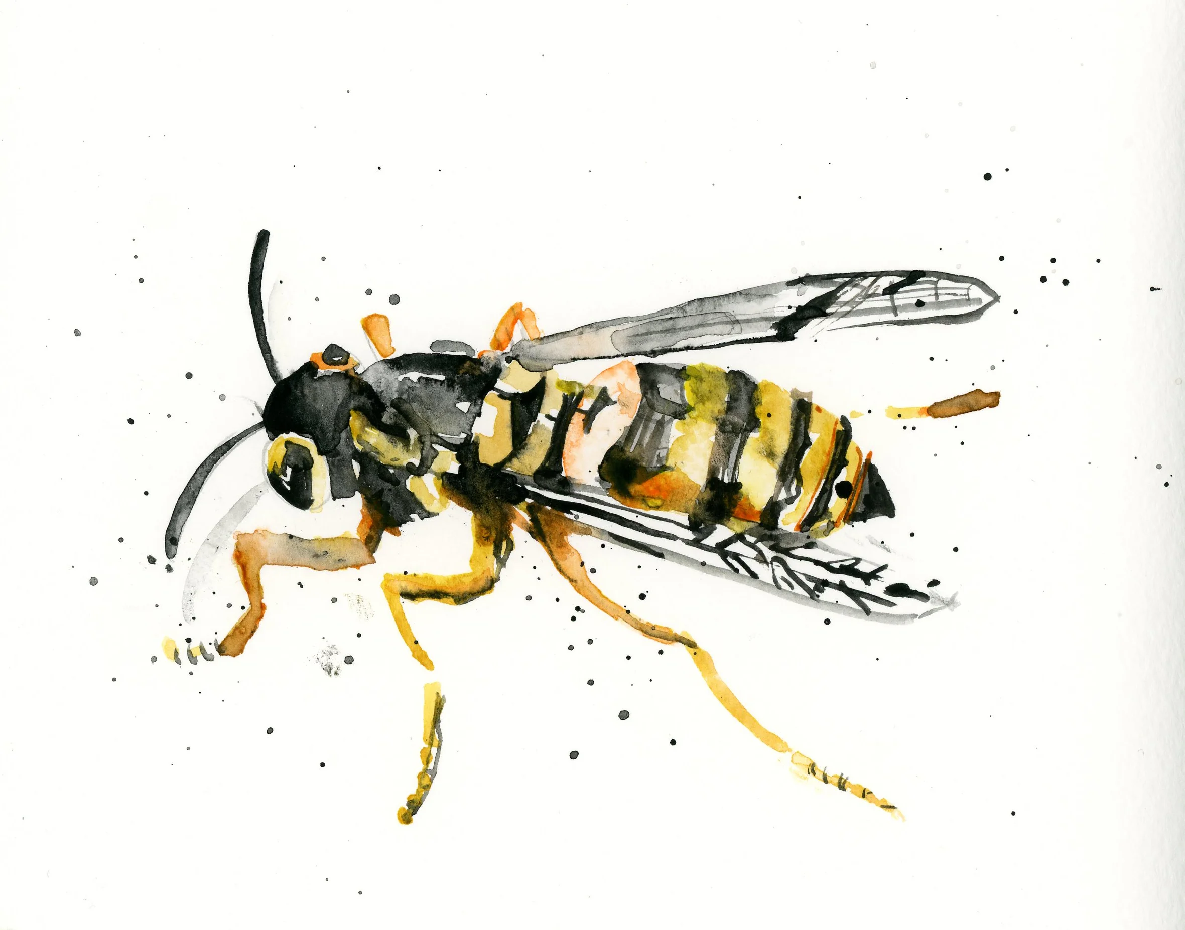 yellow.jpg