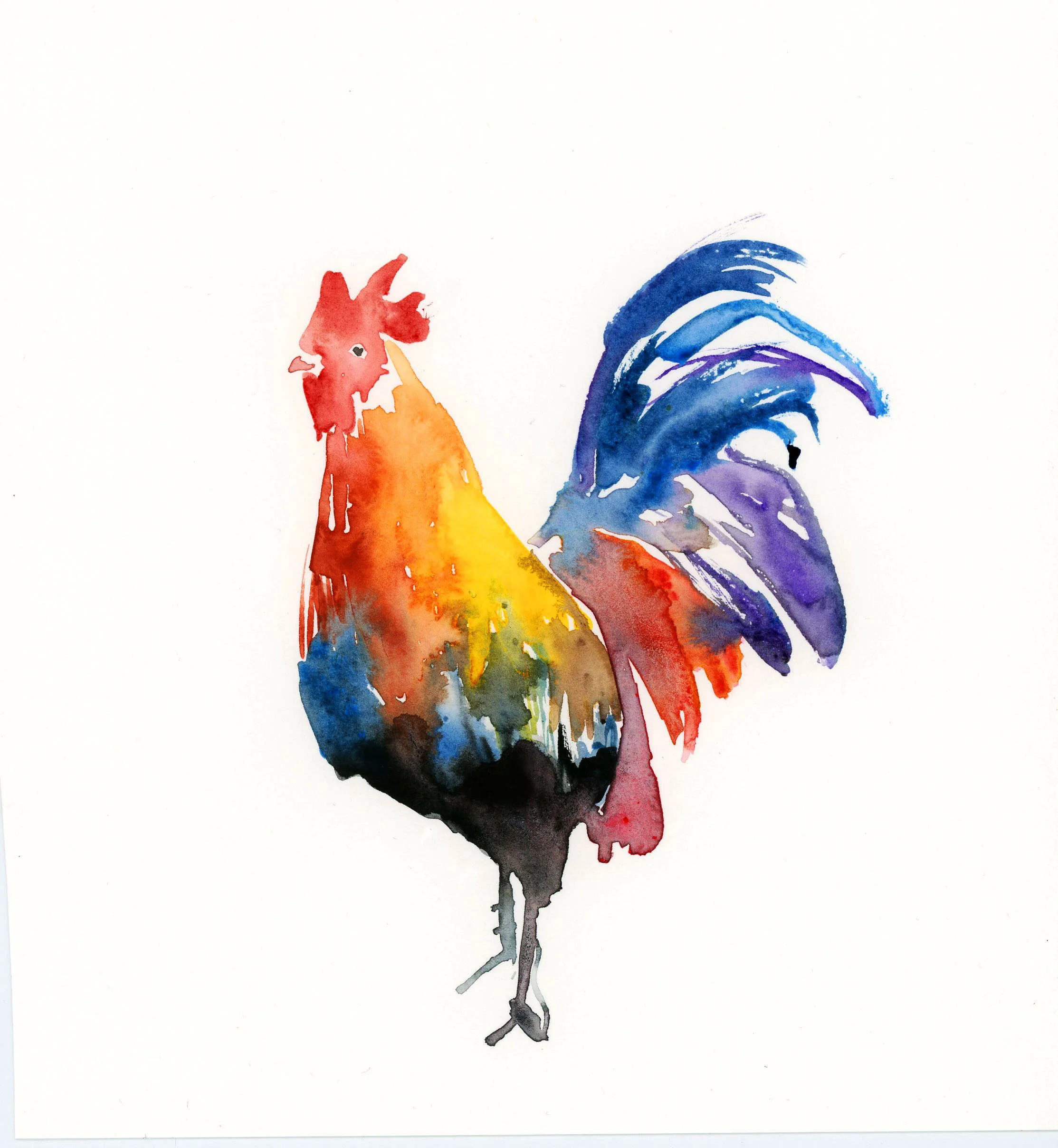 Rooster2.jpg