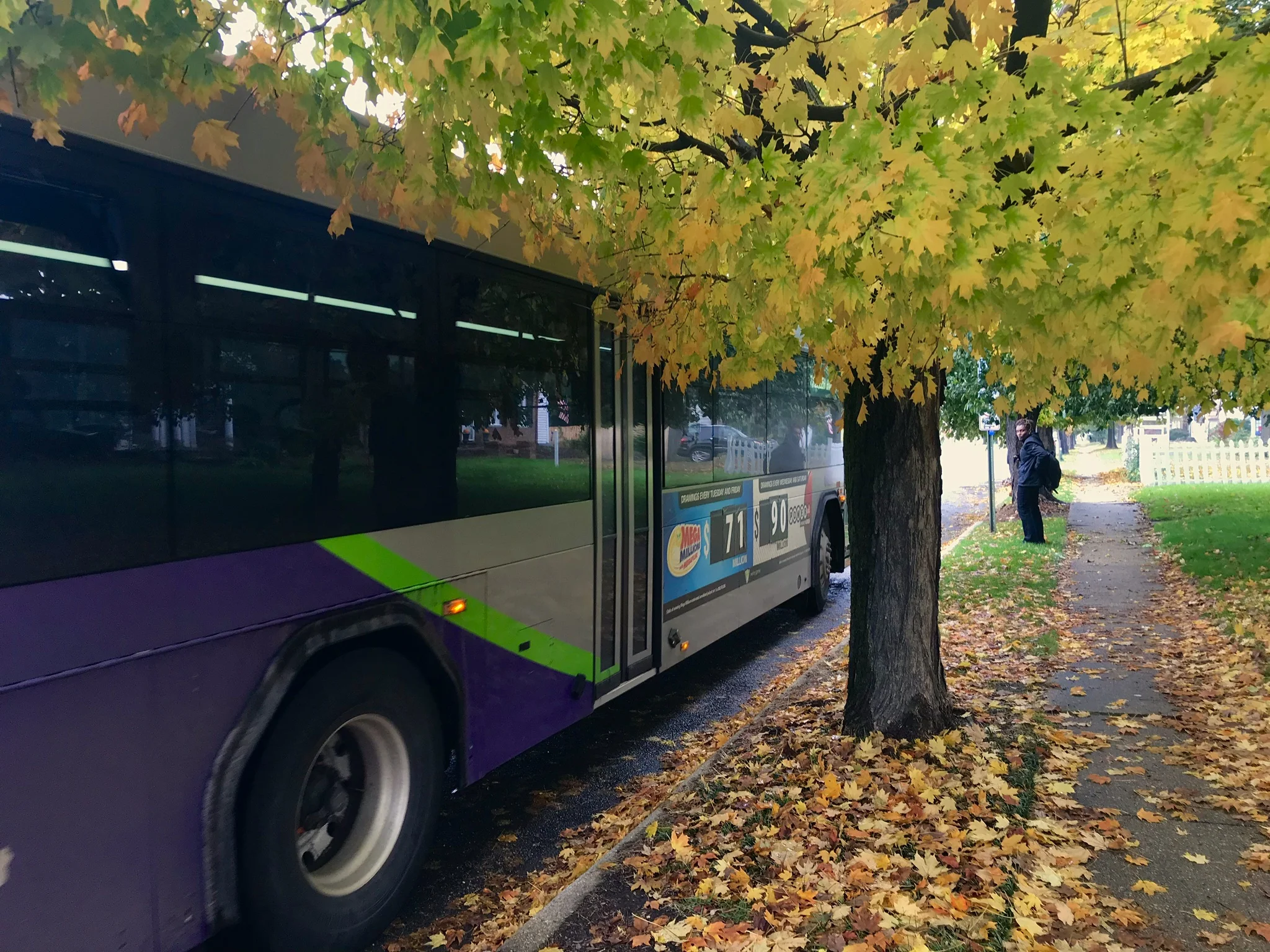 Opportunities to give back to transit