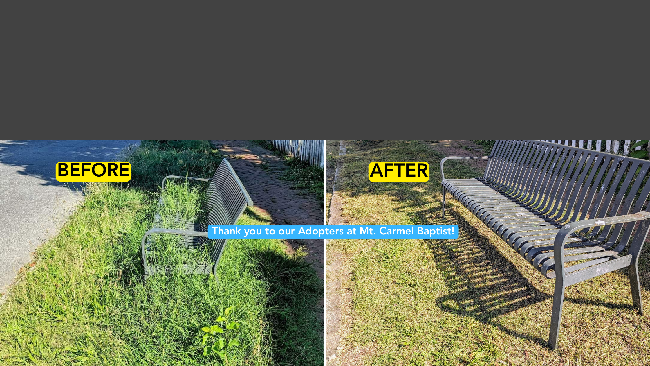 3Website Banner Better Bus Stops.png