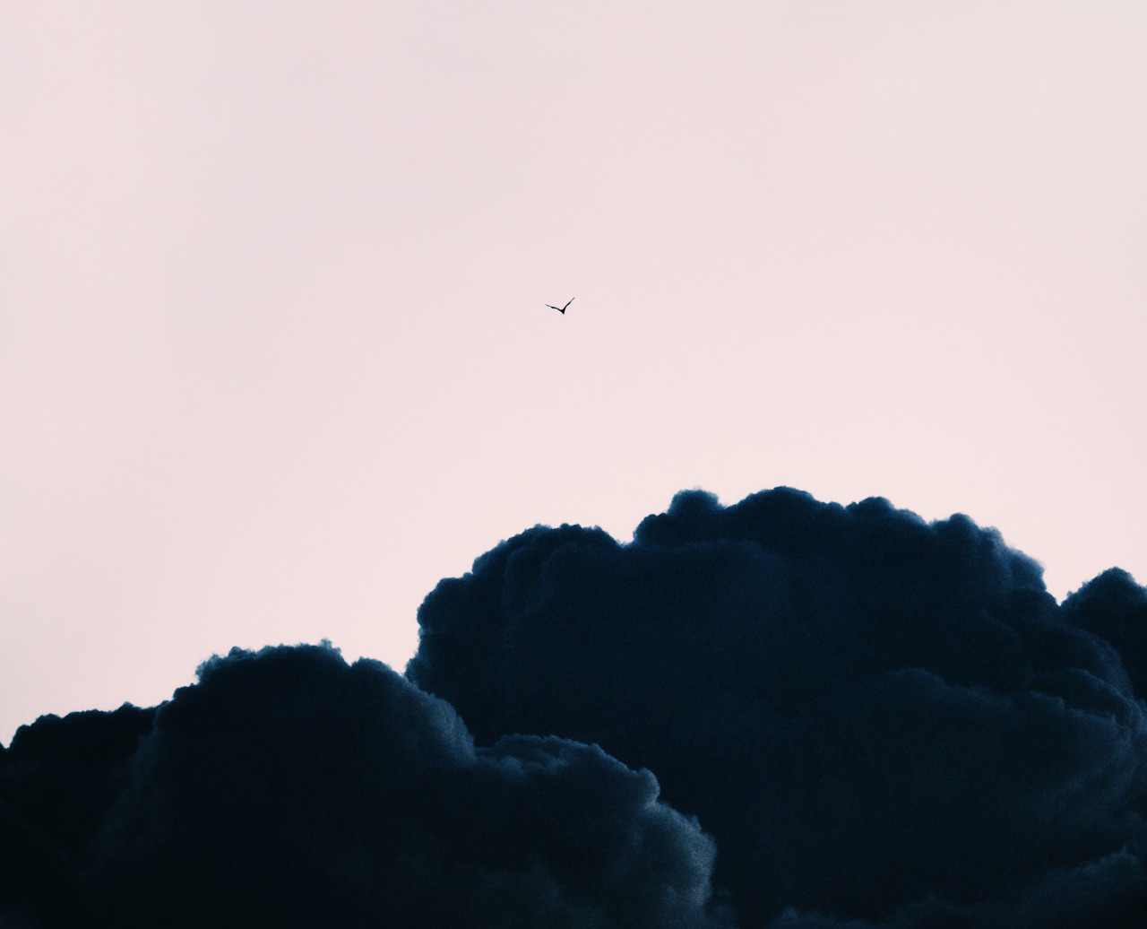 If you want to fly, give up everything that weighs you down.