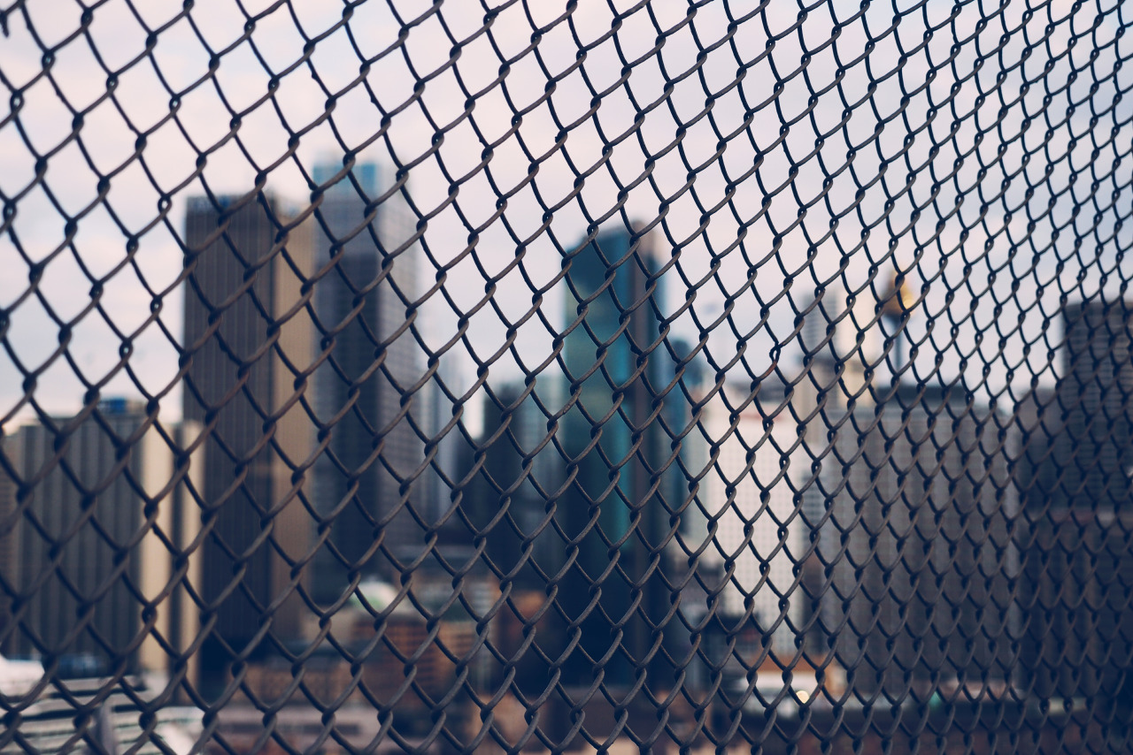 Wired city