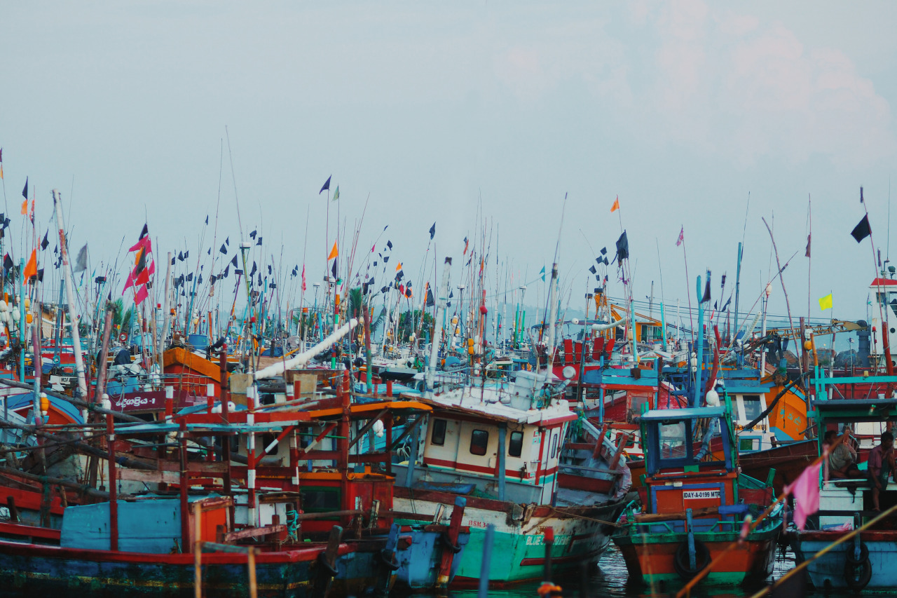 Early morning rise in Sri Lanka hoping to catch a glimpse of some whales. The harbour with its endless boats and subtle light from sunrise made for a painting like image. There are people in this photo but it’s a bit like Where’s Wally? Olympus AU E-M1 + 12-60mm f/2.8