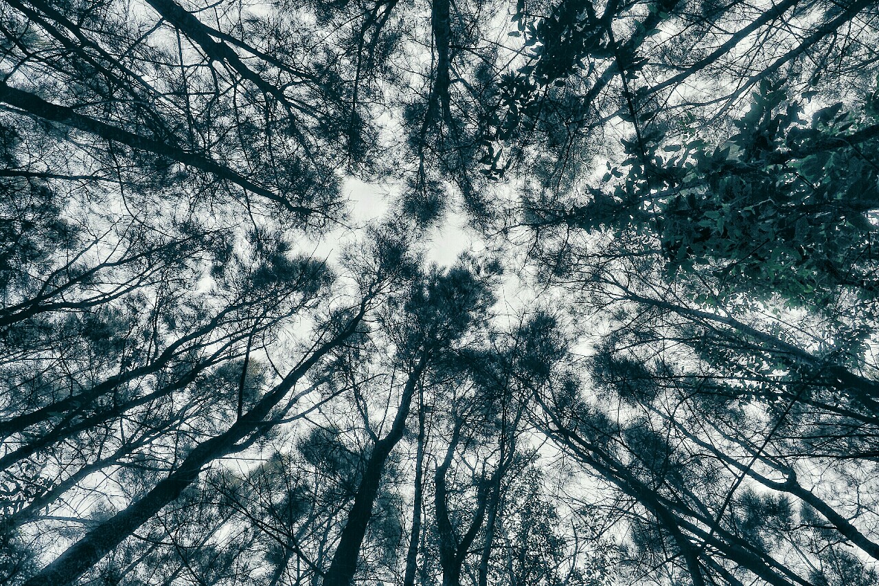 Sky light