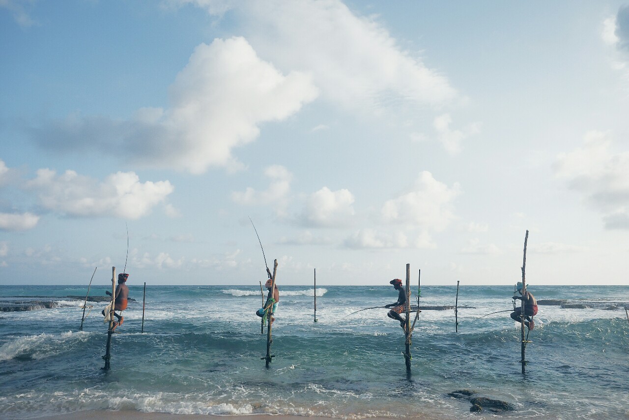 Stilt fishing | Talpe, Sri Lanka