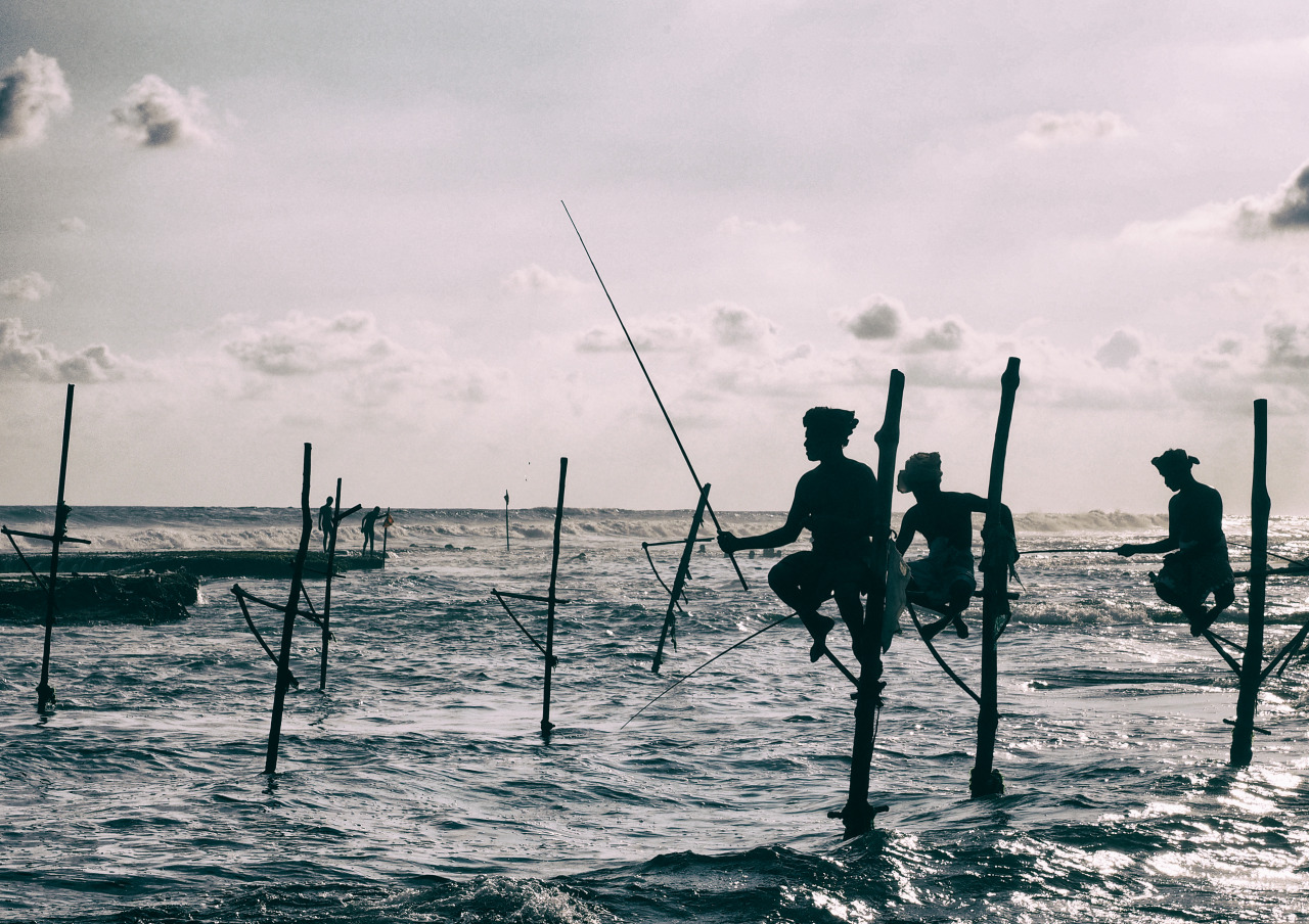 Sun setting on stilt fisherman in Talpe that were more then happy to perform and pose for photos. While taking photos one proudly showed off a fish just caught with an invitation to get up on the stilts, I rejected the offer as I was more keen on taking photos. My dear friend Moe took up the challenge and is still in pain to this day, not as easy as it looks.
Olympus OM-D E-M1 + 12-40mm f/2.8
