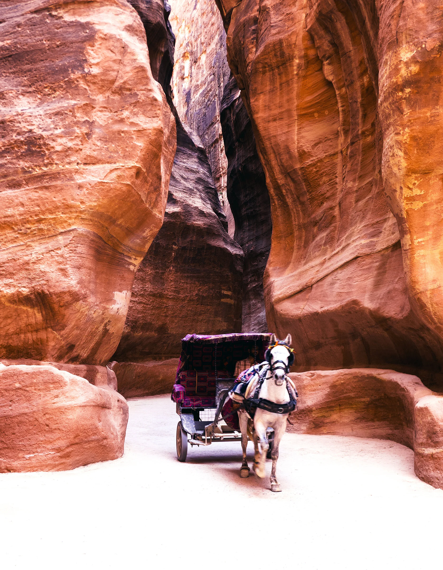 Carriage | Middle Beauty Exhibition