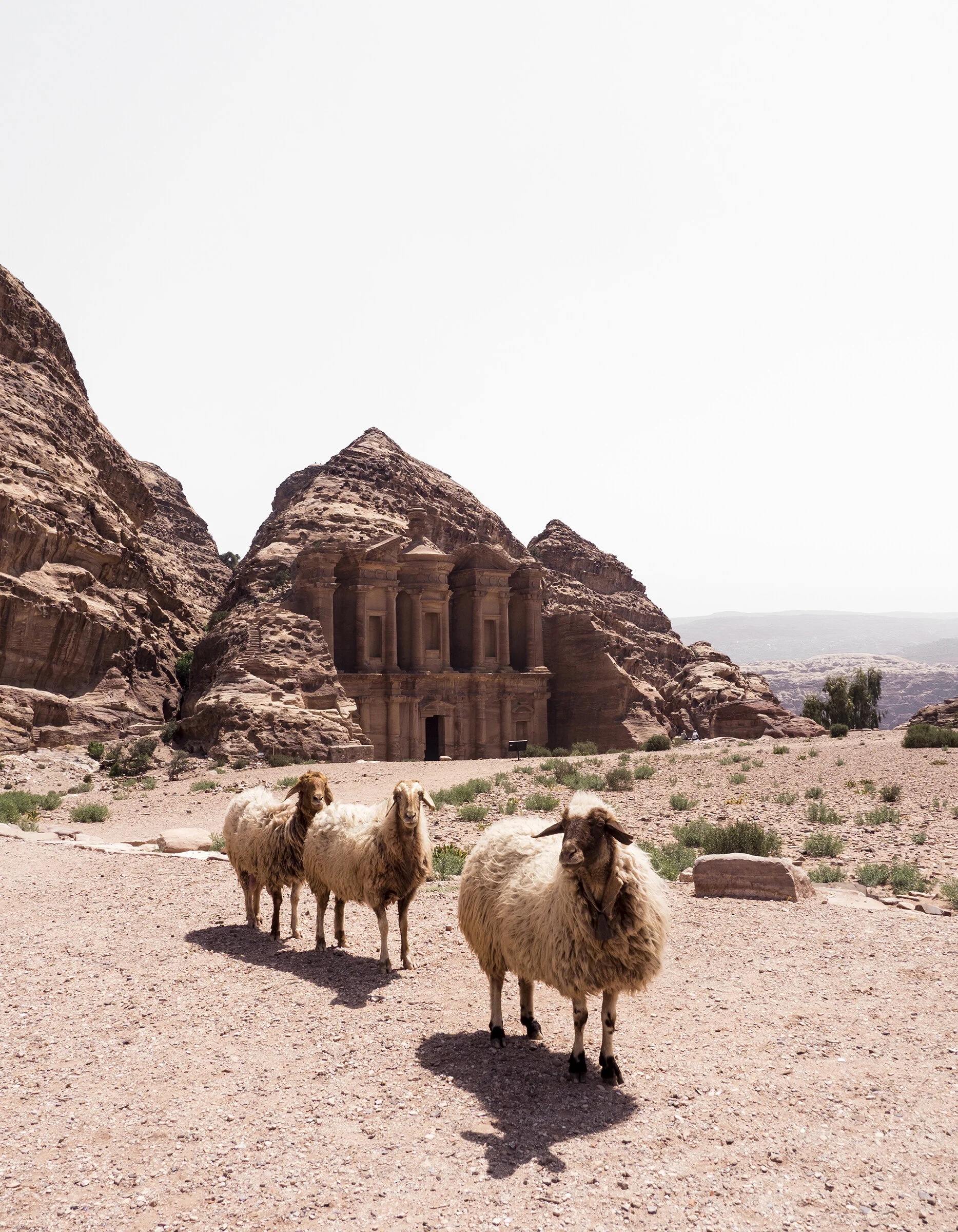 Locals | Middle Beauty Exhibition