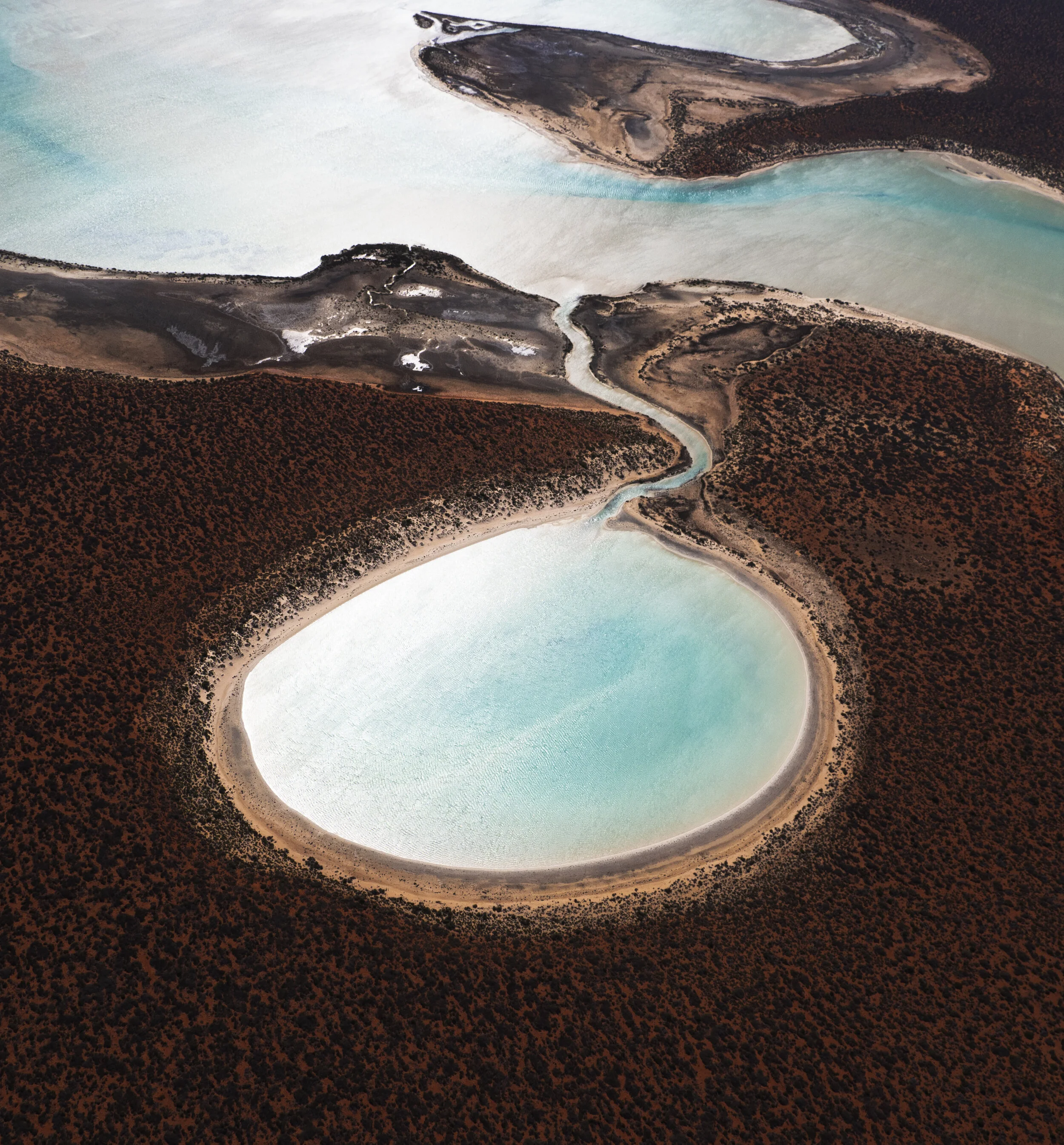 Lagoon - Ante Badzim.JPG