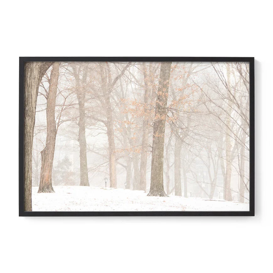 Snowscape — Ante Badzim