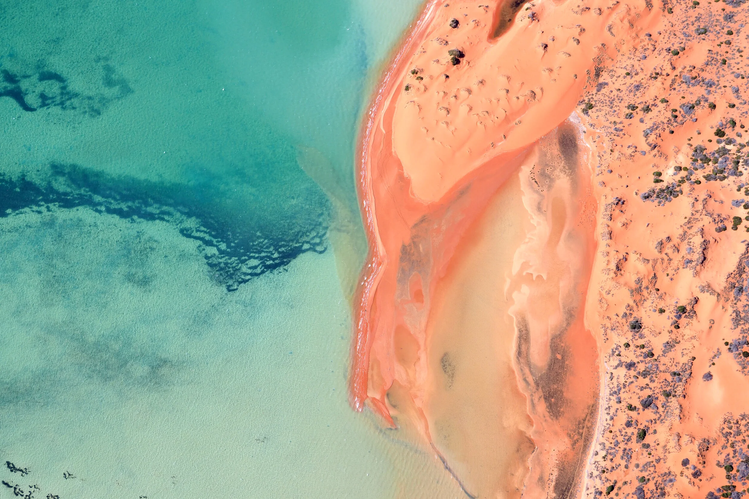 Peron - Ante Badzim.jpeg