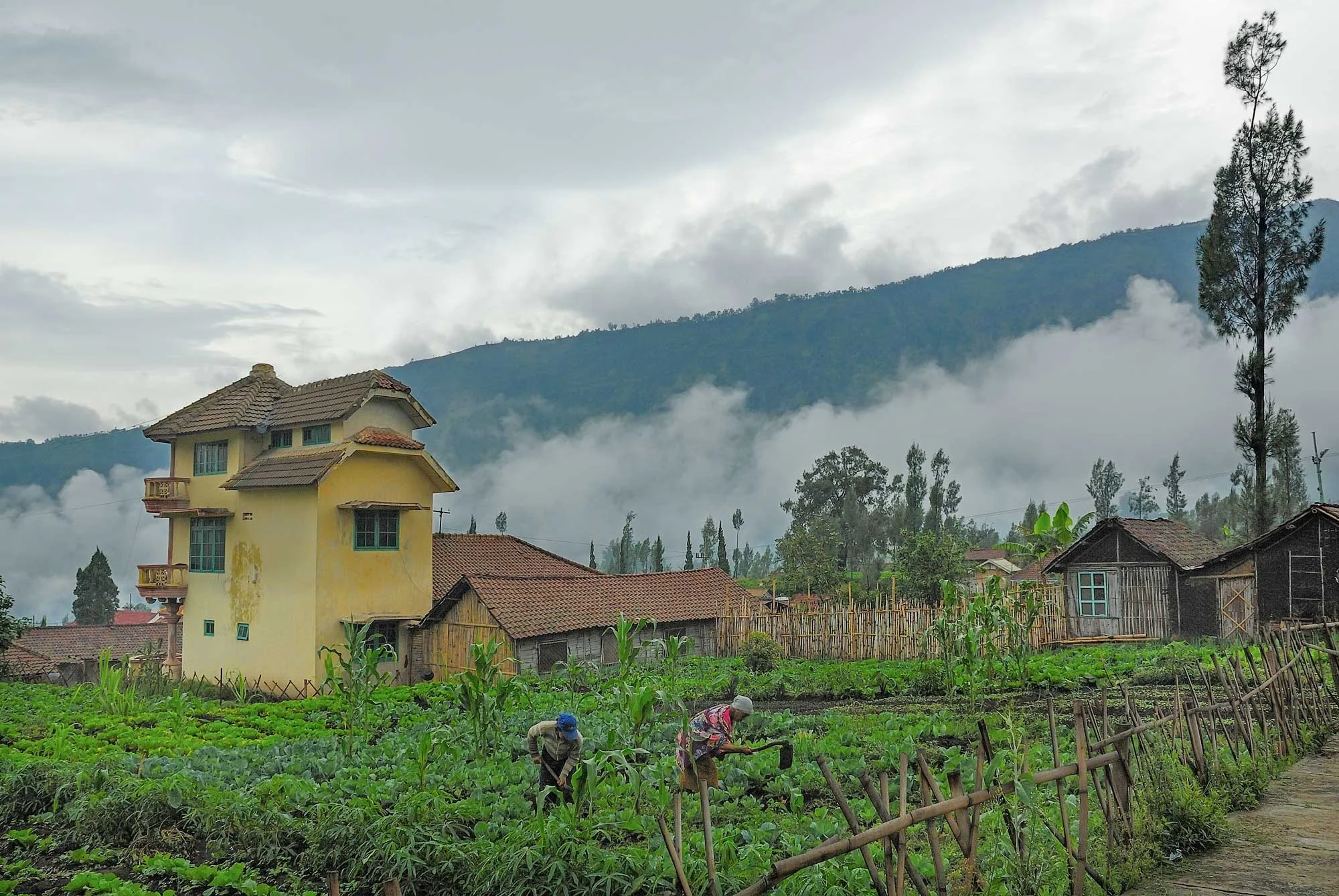 20091227_Mt.-Bromo_D1_DSC0019.jpg