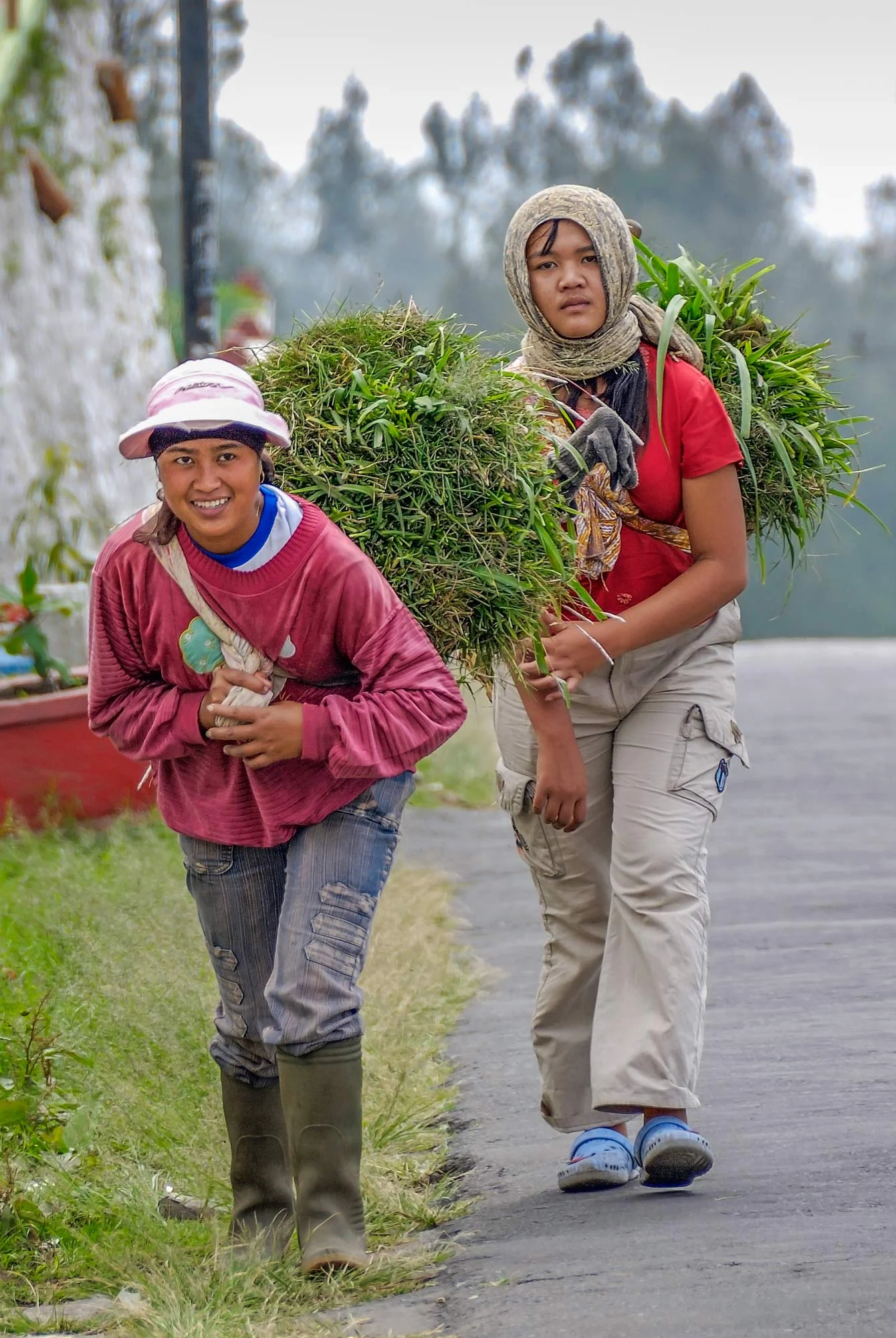20091227_Mt.-Bromo_D3_DSC0053.jpg