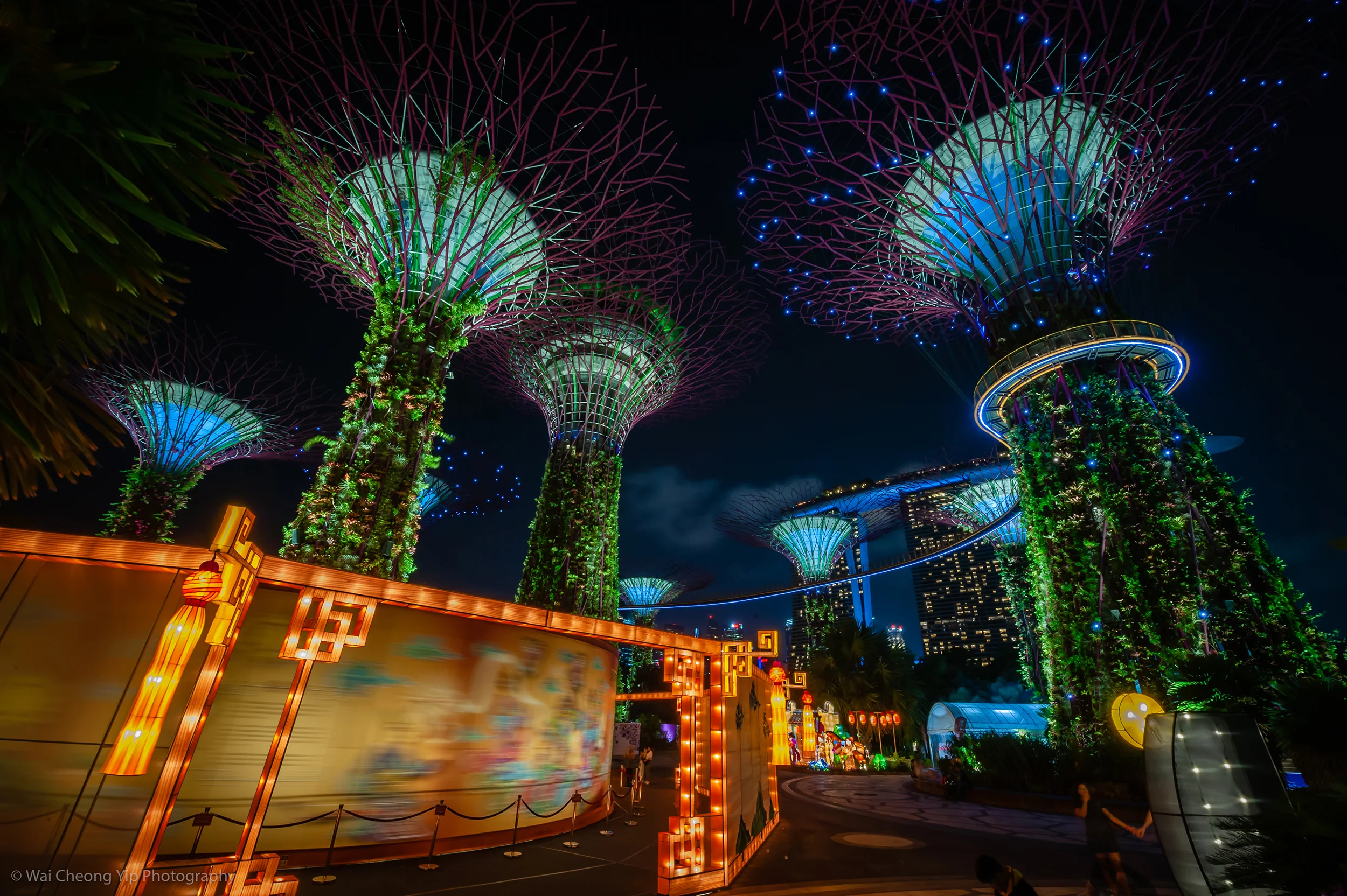 20190902_滨海花园庆中秋_D700_0053.jpg
