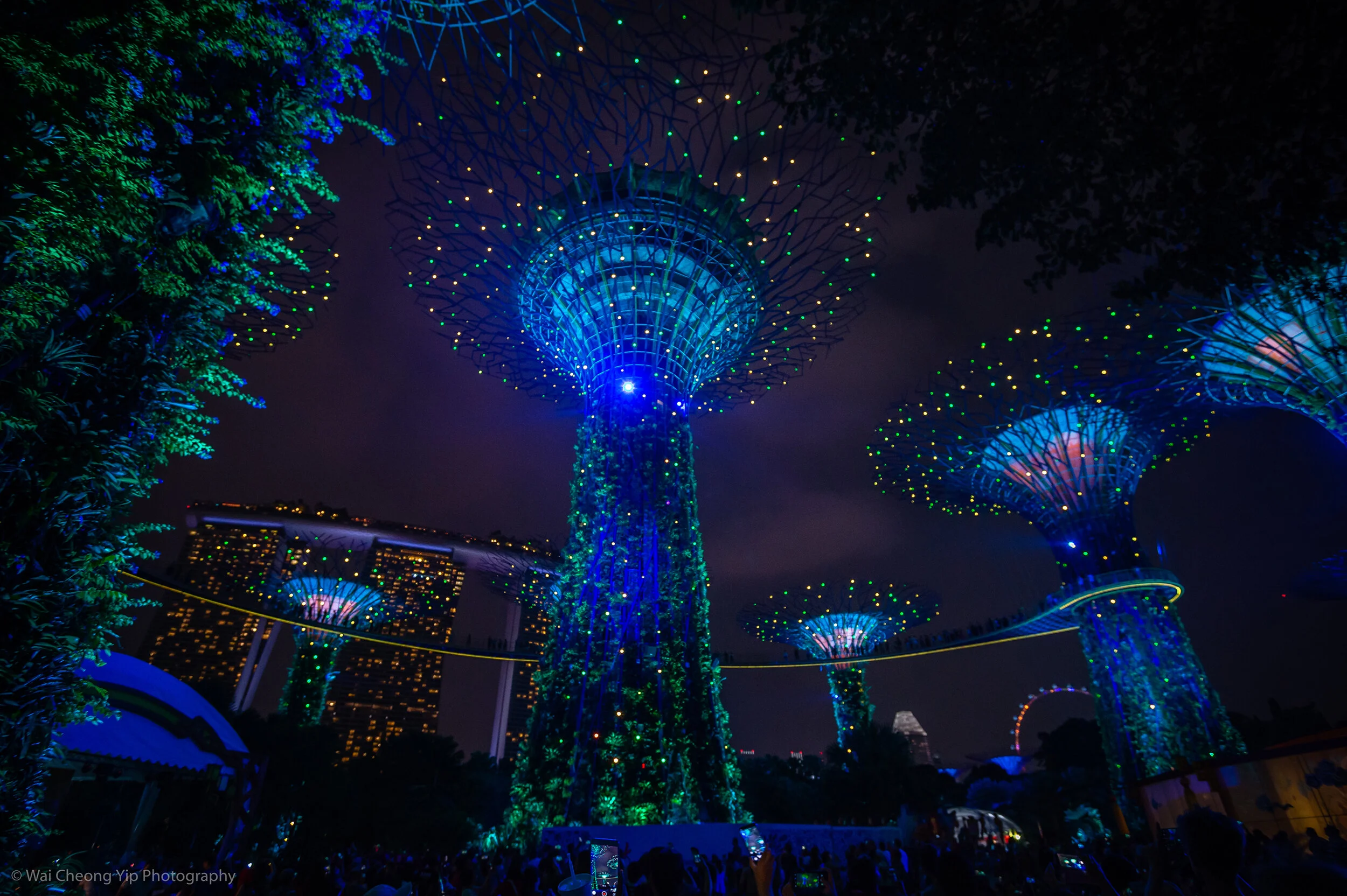 20190913_滨海花园庆中秋_D4S_0168.jpg
