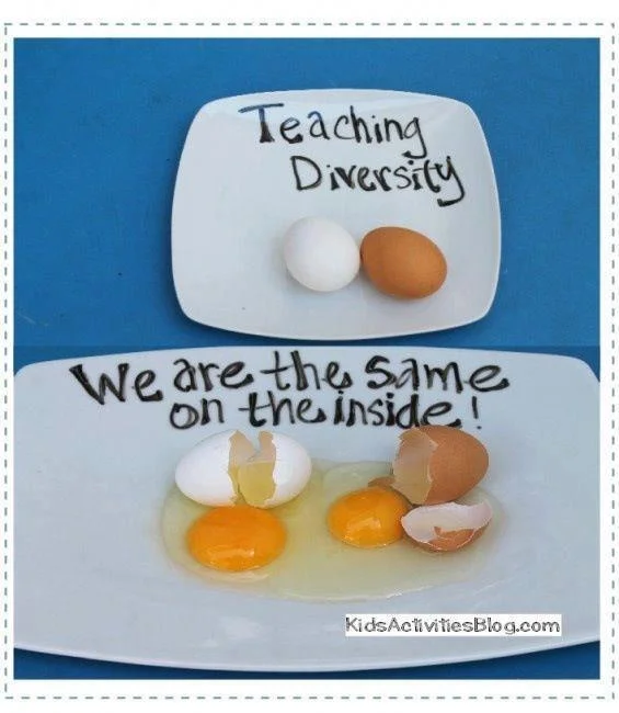 Cracking Eggs: A Few Thoughts on Teaching  Diversity