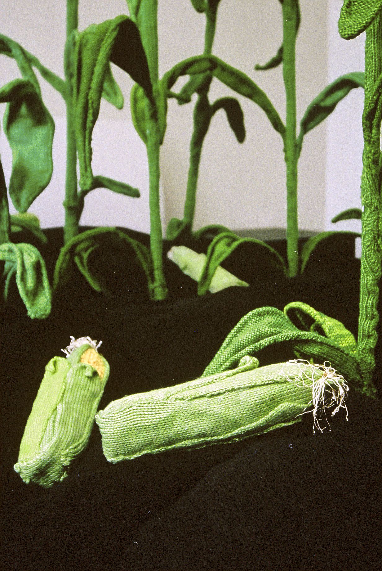 6. 'Fertile Ground', 2003 (detail).jpg