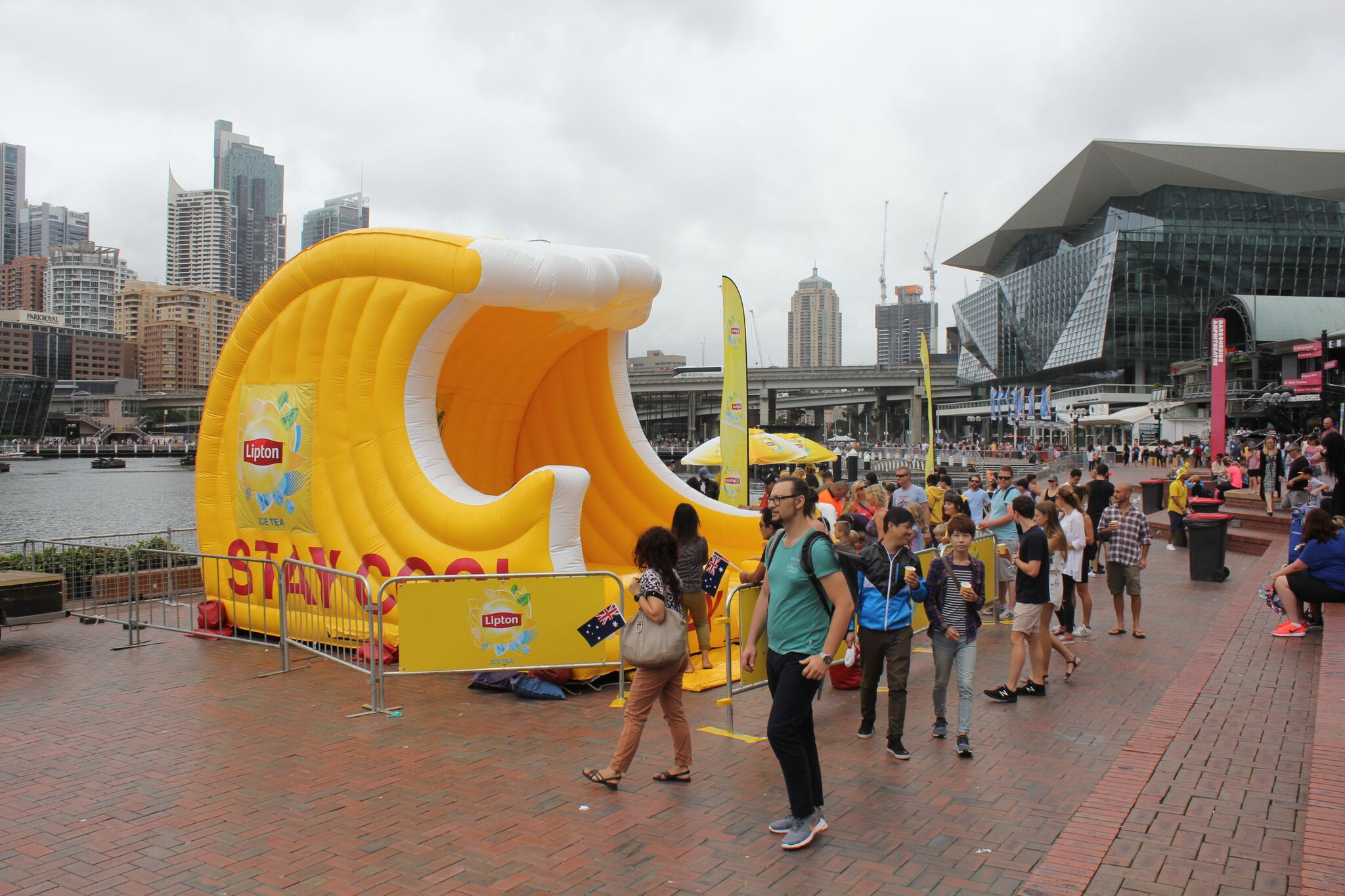 Mech Surf Lipton.jpeg