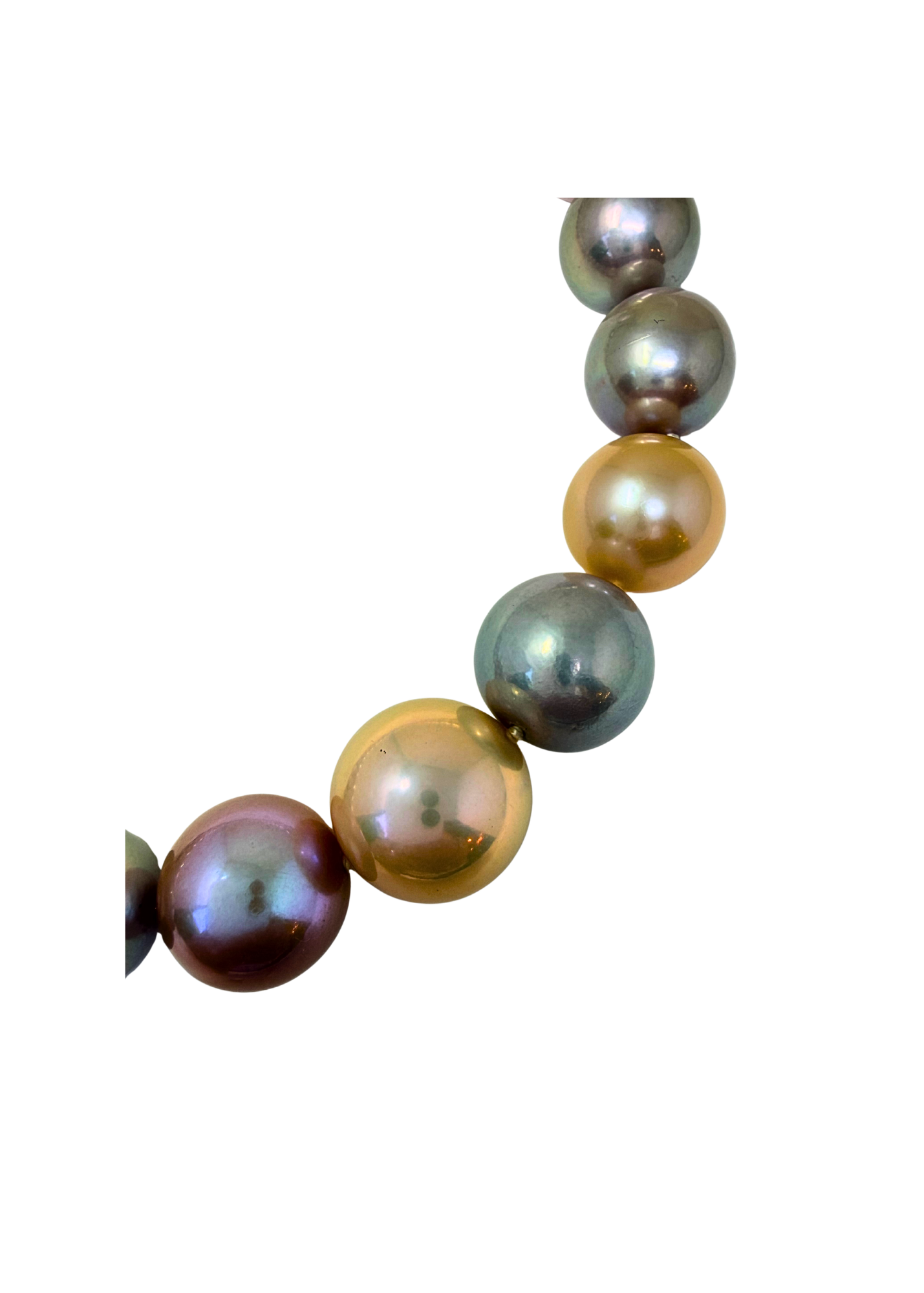 NG FWP closeup.png