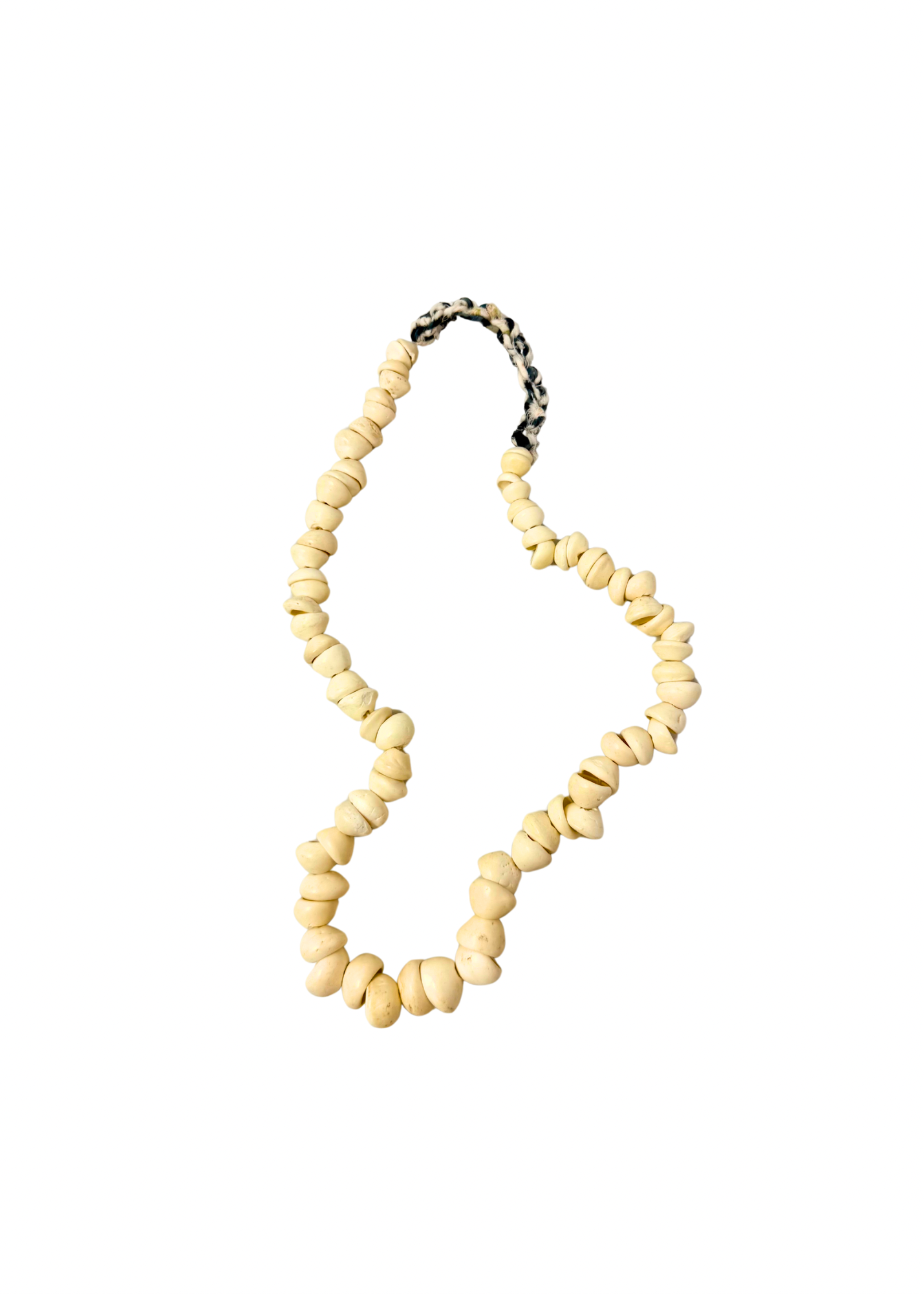 African Clam Shells.PNG