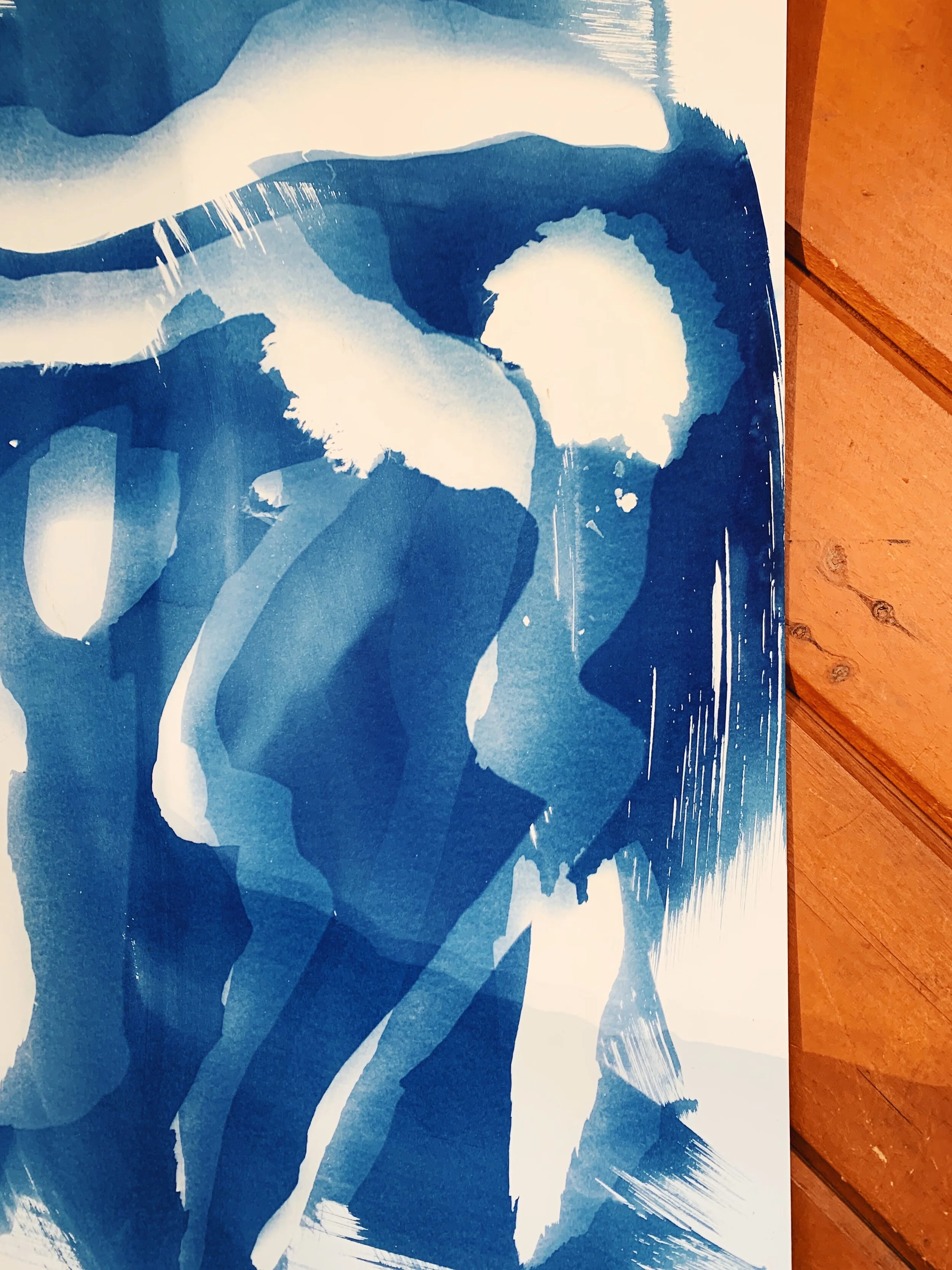 EmilyEisenhart-SuttleLodge-Cyanotypes-13.JPG