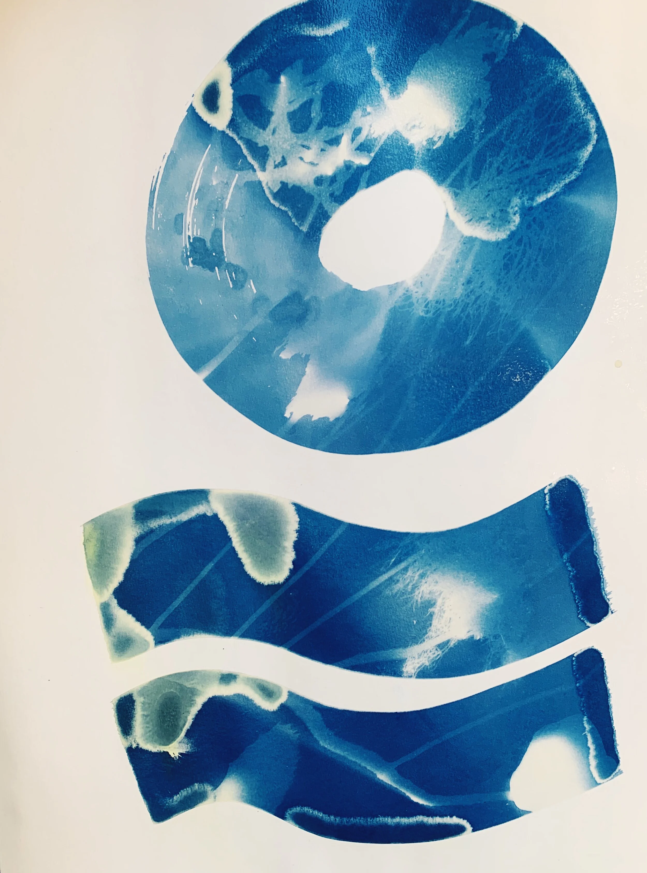 EmilyEisenhart-SuttleLodge-Cyanotypes-11.JPG