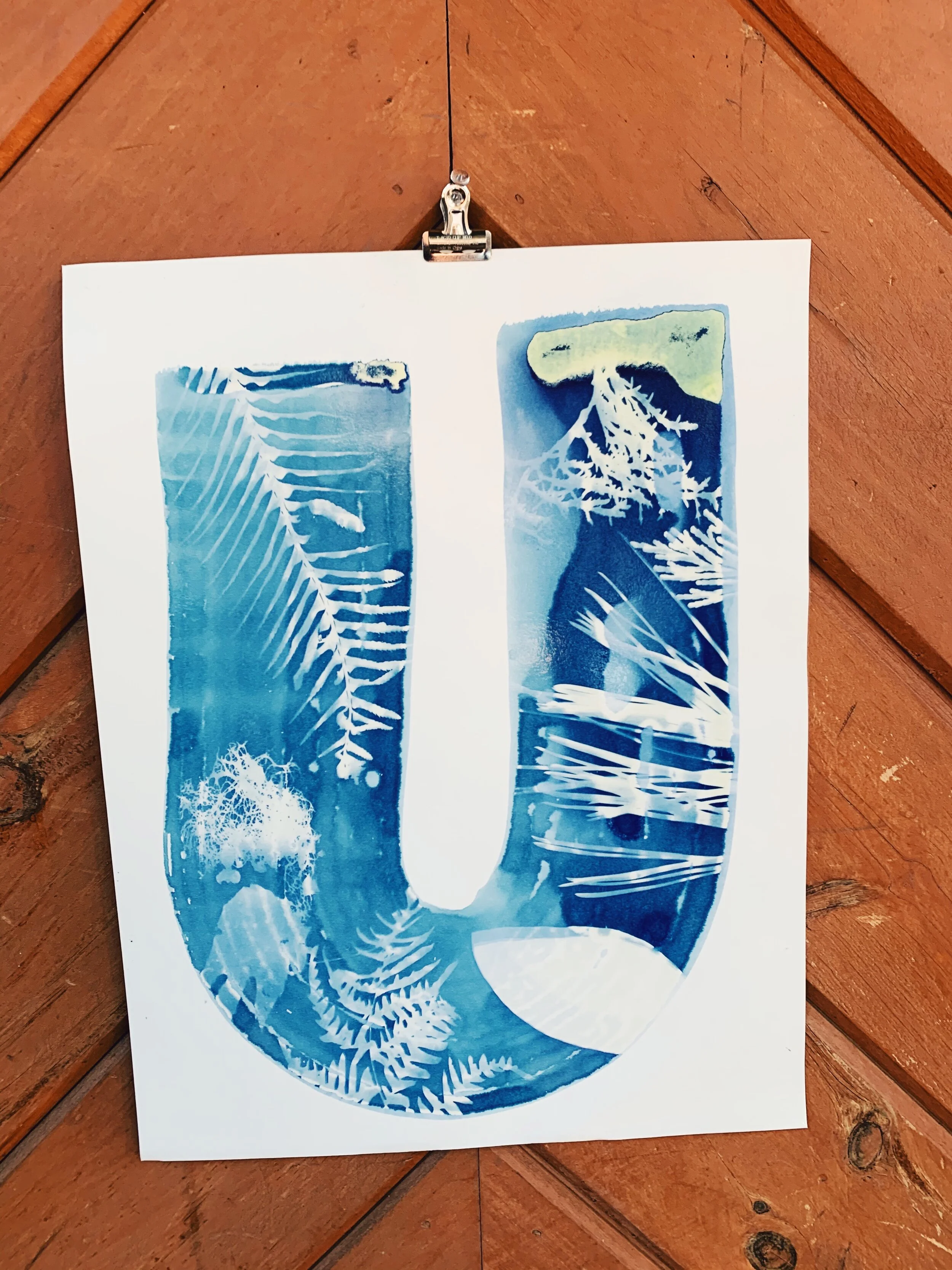 EmilyEisenhart-SuttleLodge-Cyanotypes-12.JPG