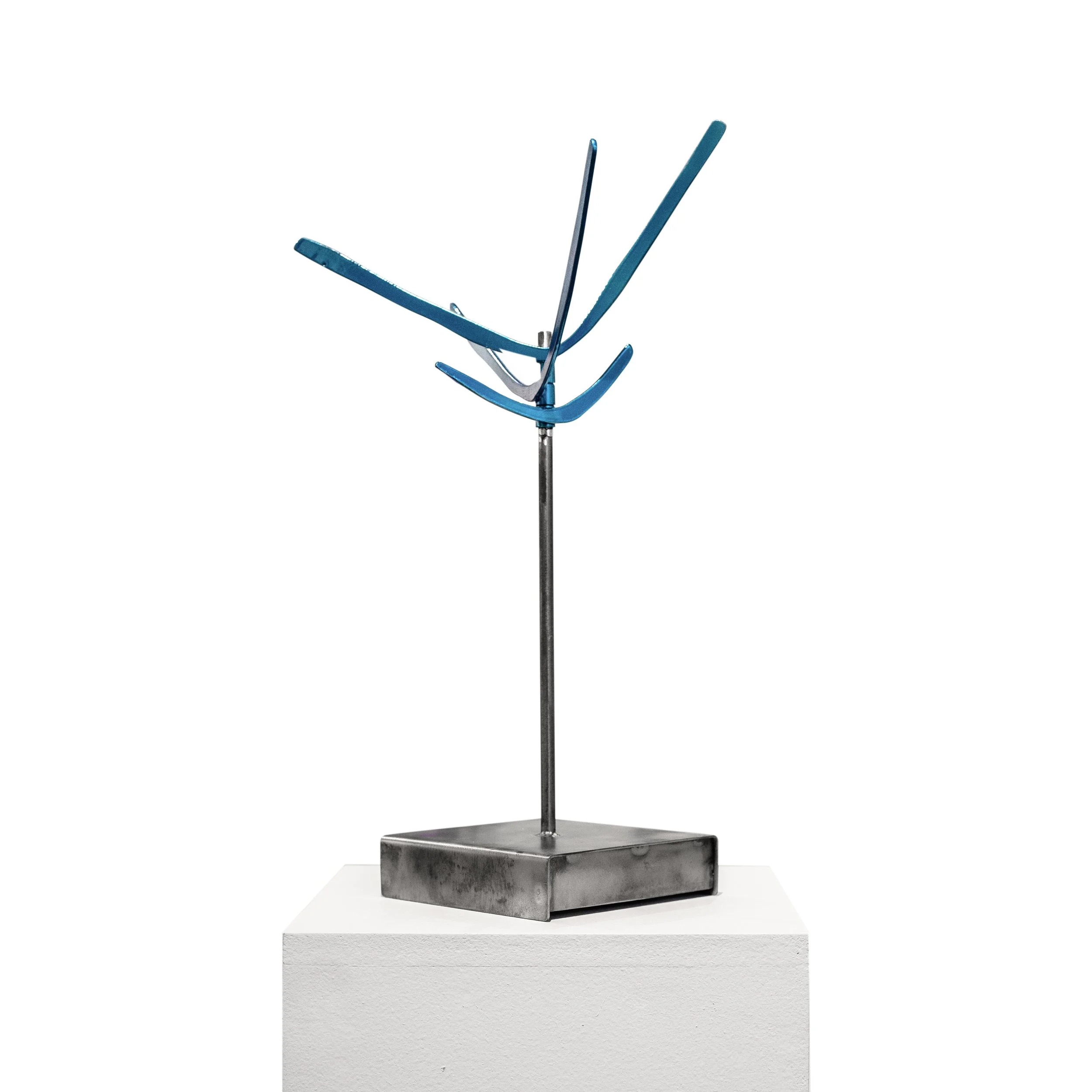 Copy of #76 Whirligig.jpg