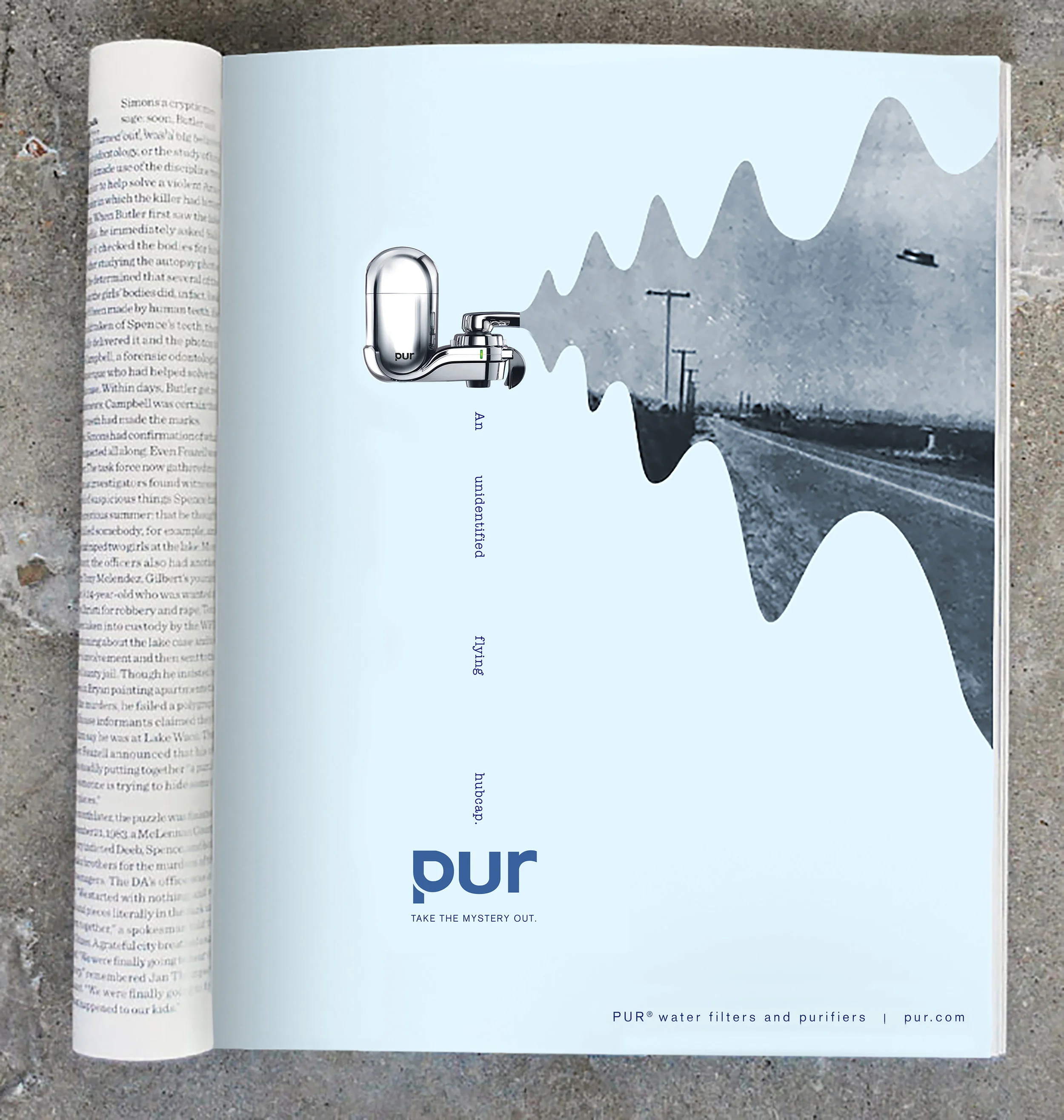 PUR_1.jpg