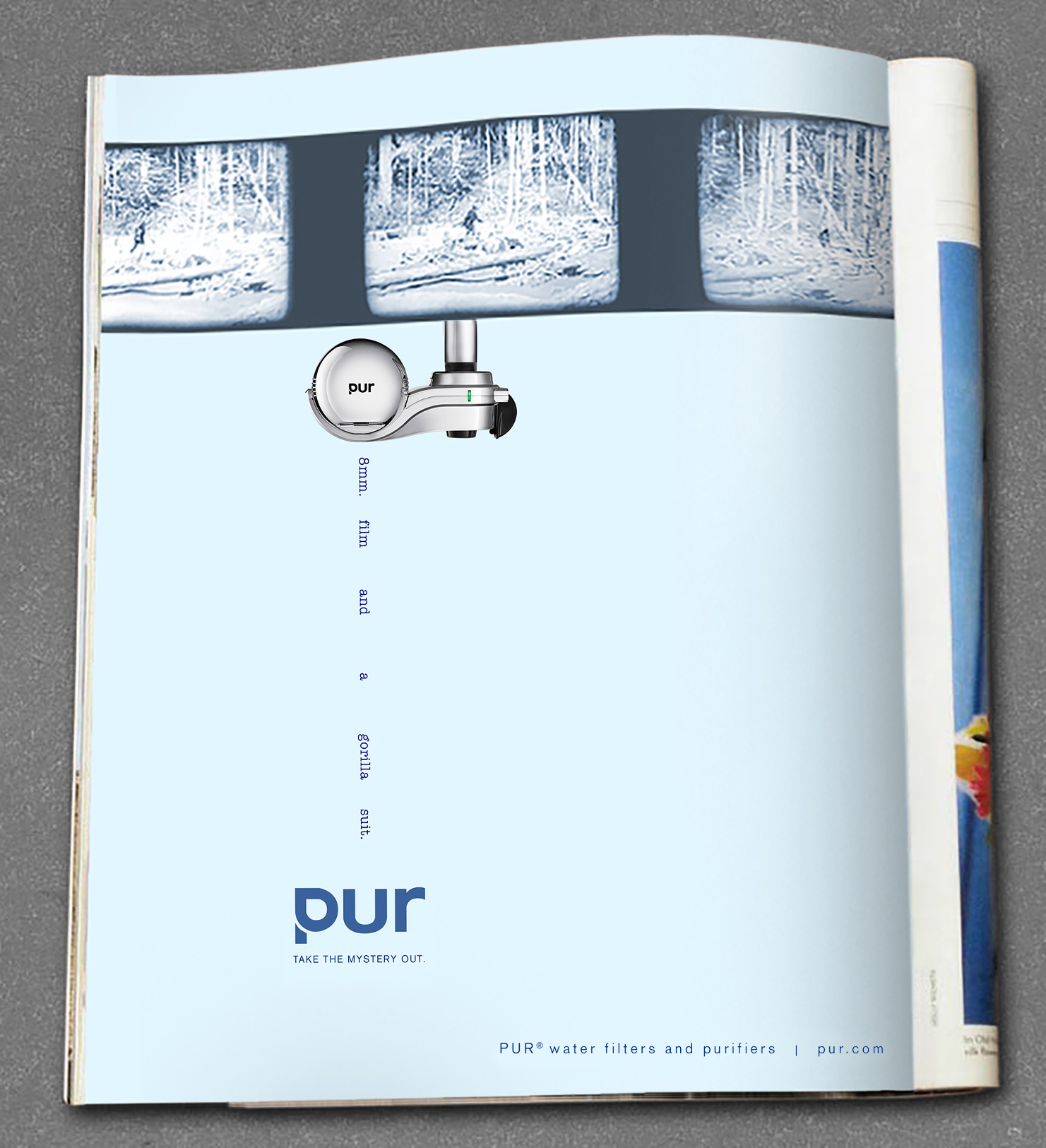 PUR_3.jpg
