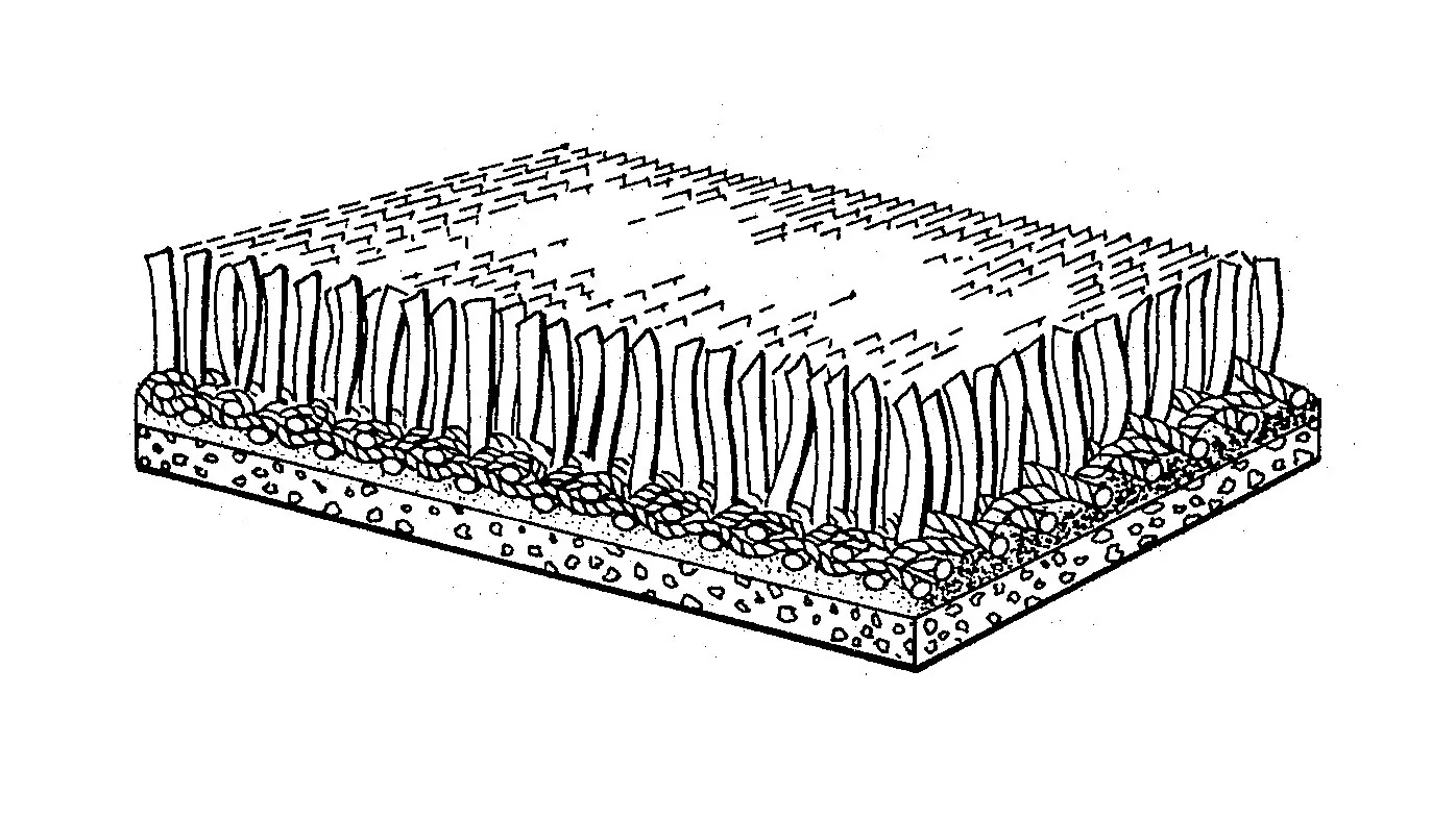 The carpet-like uniformity and unnaturally simulated quality of the original AstroTurf (initially marketed as ChemGrass) patent drawing seems to come through in its obstinate refusal to fit neatly into any one category: Is it a carpet? Or is it a scrub brush? ( U.S. Patent No. 3,332,828 , “Monofilament Ribbon Pile Product,” James M. Faria & Robert T. Wright, issued July 25th, 1967)